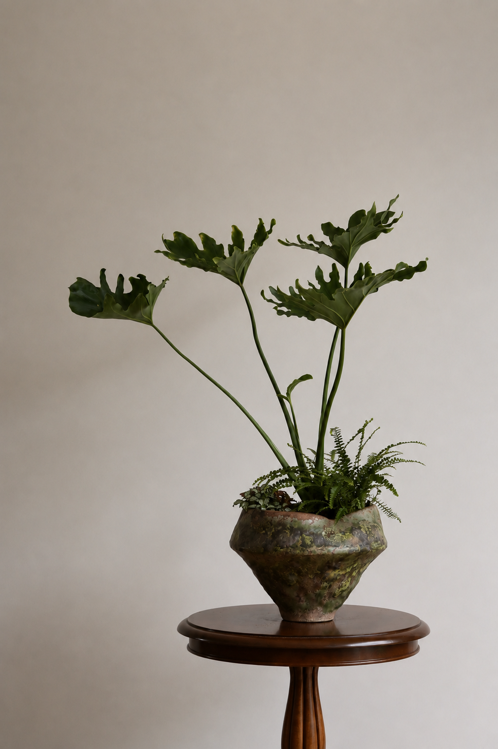 Potted Plant Arrangements