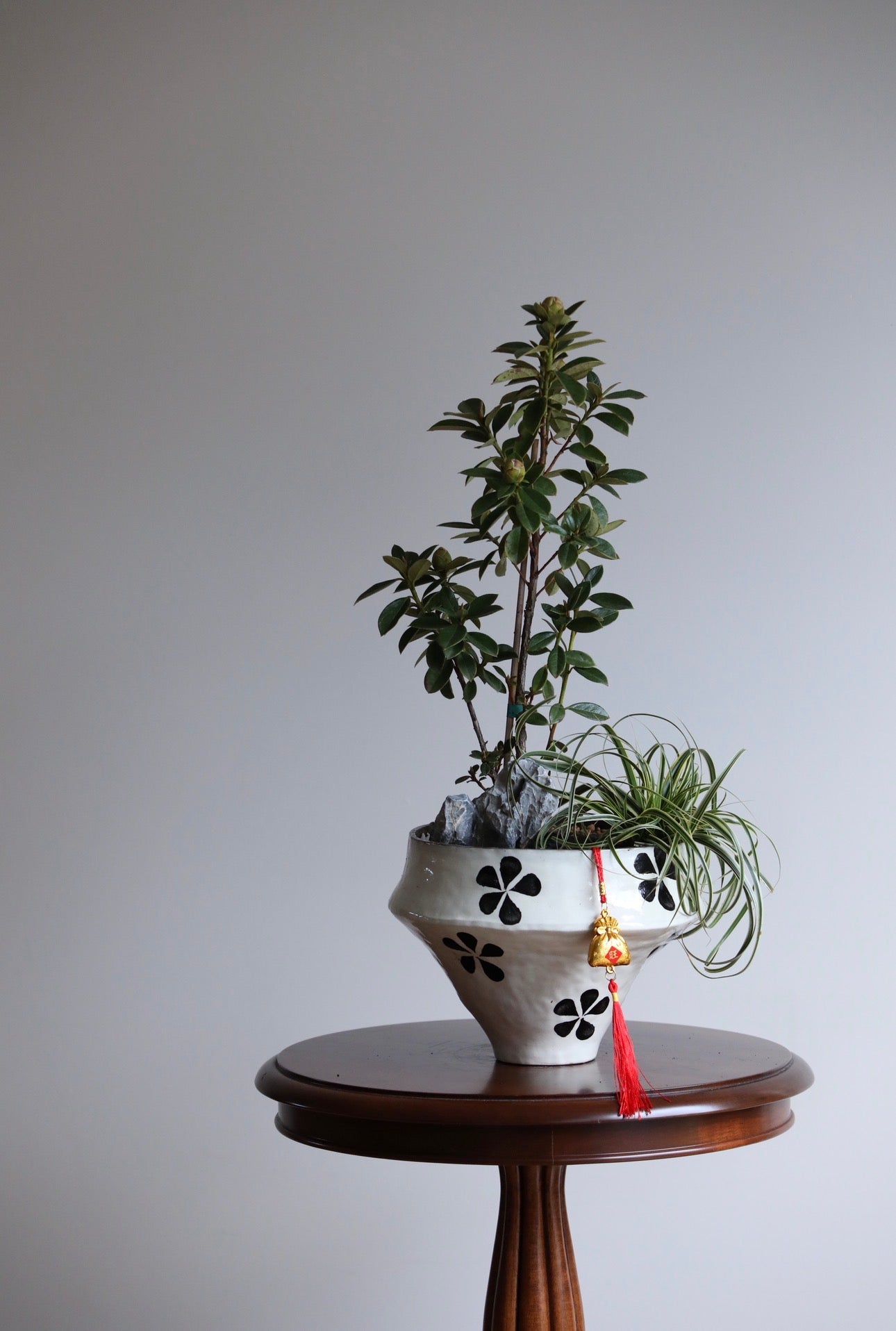 Ruby Grace – Rhododendron Plant Arrangement | 62cm x 28cm