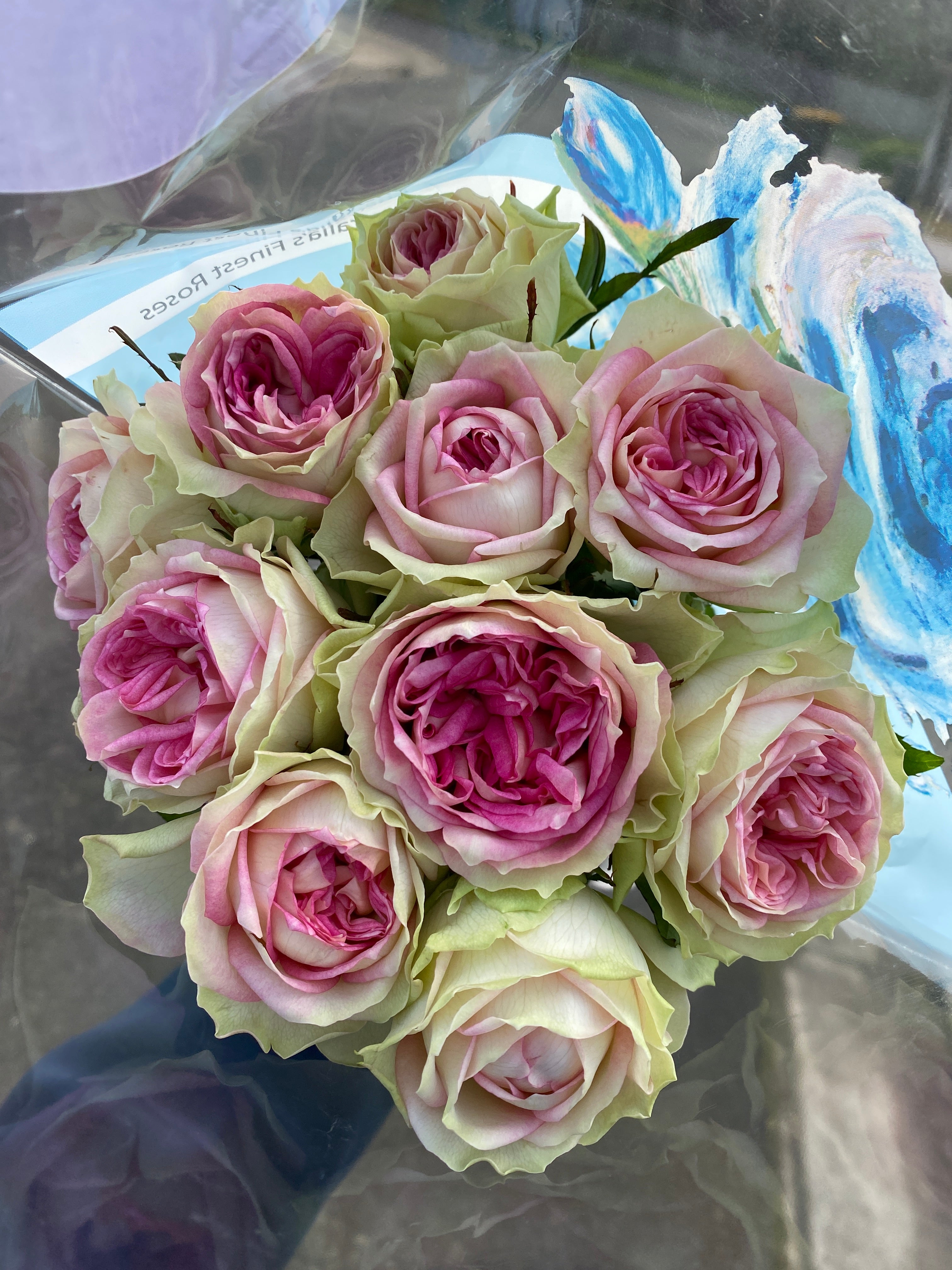 Local Roses - Grandi Kitty