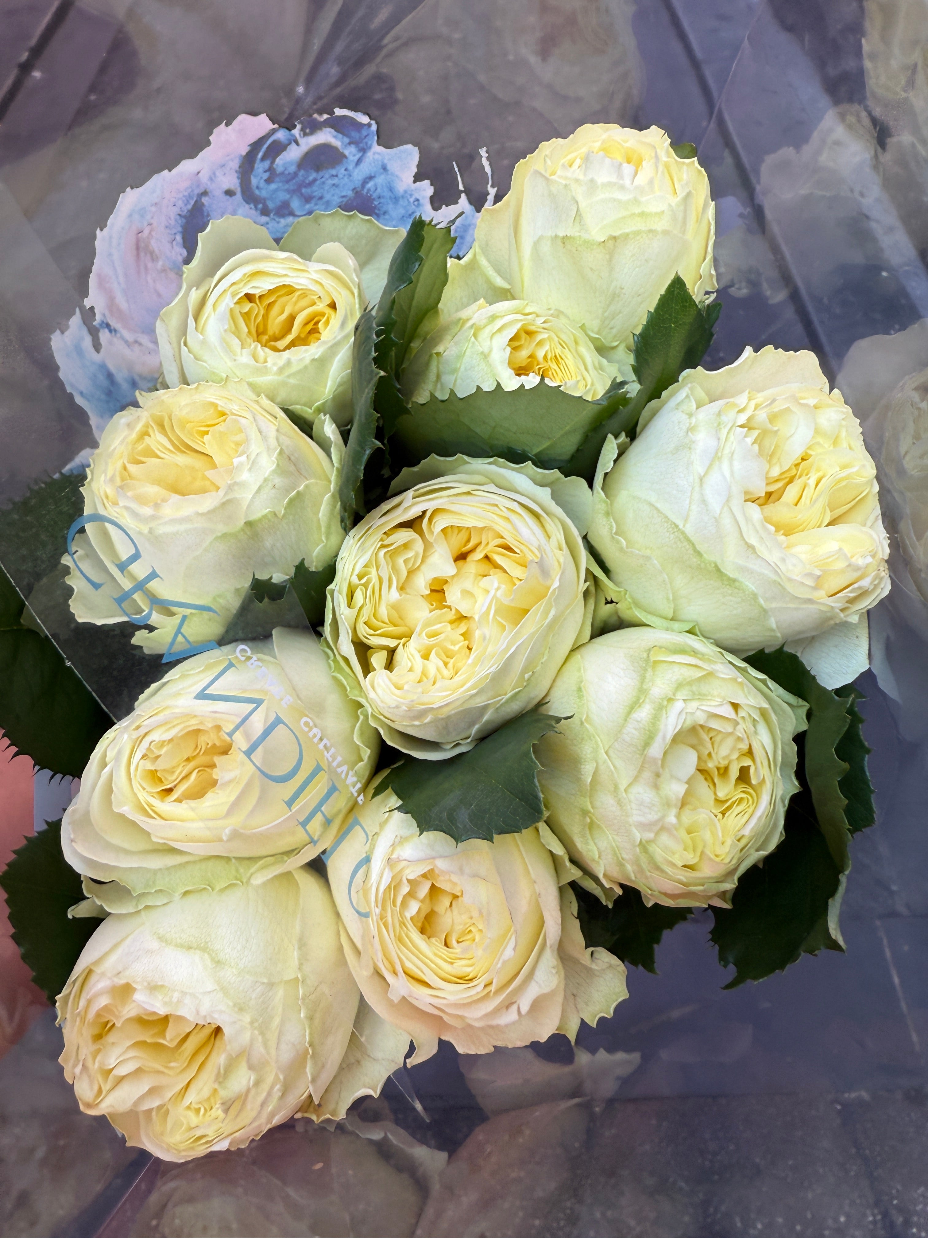 Local Roses - Grandi Sorbet