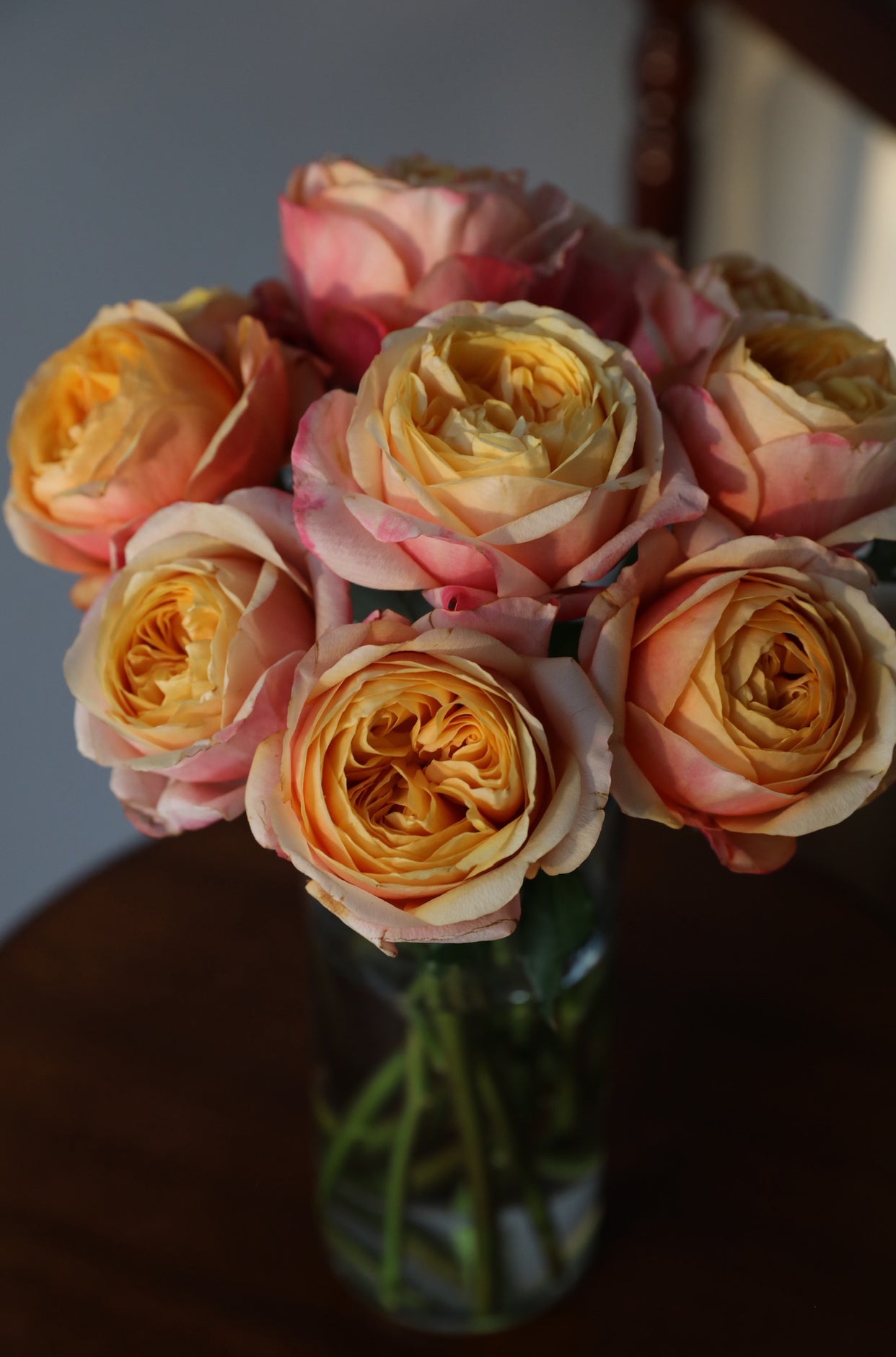 Local Roses - Grandi Solar Flare