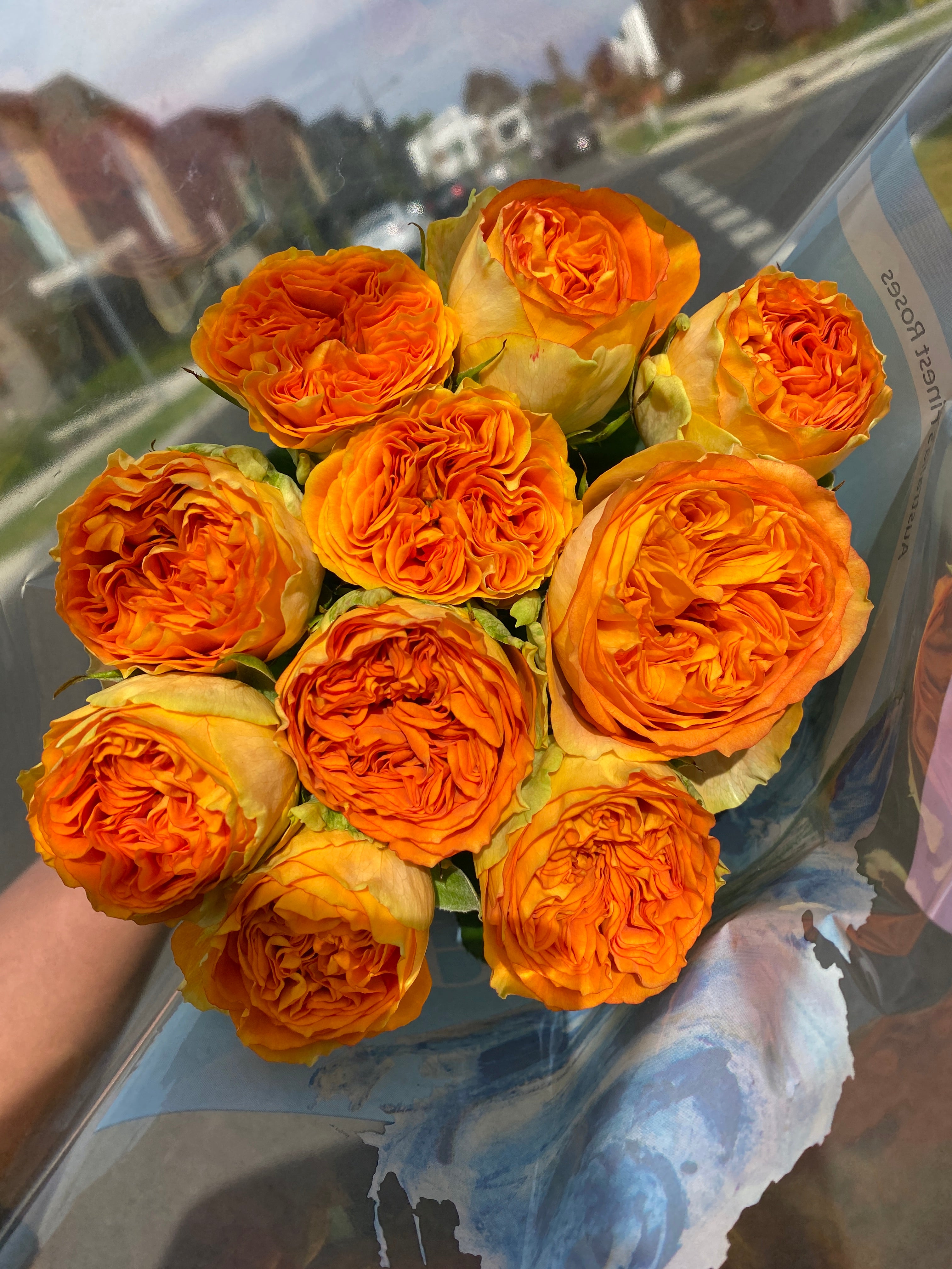 Local Roses - Grandi Endless Summer