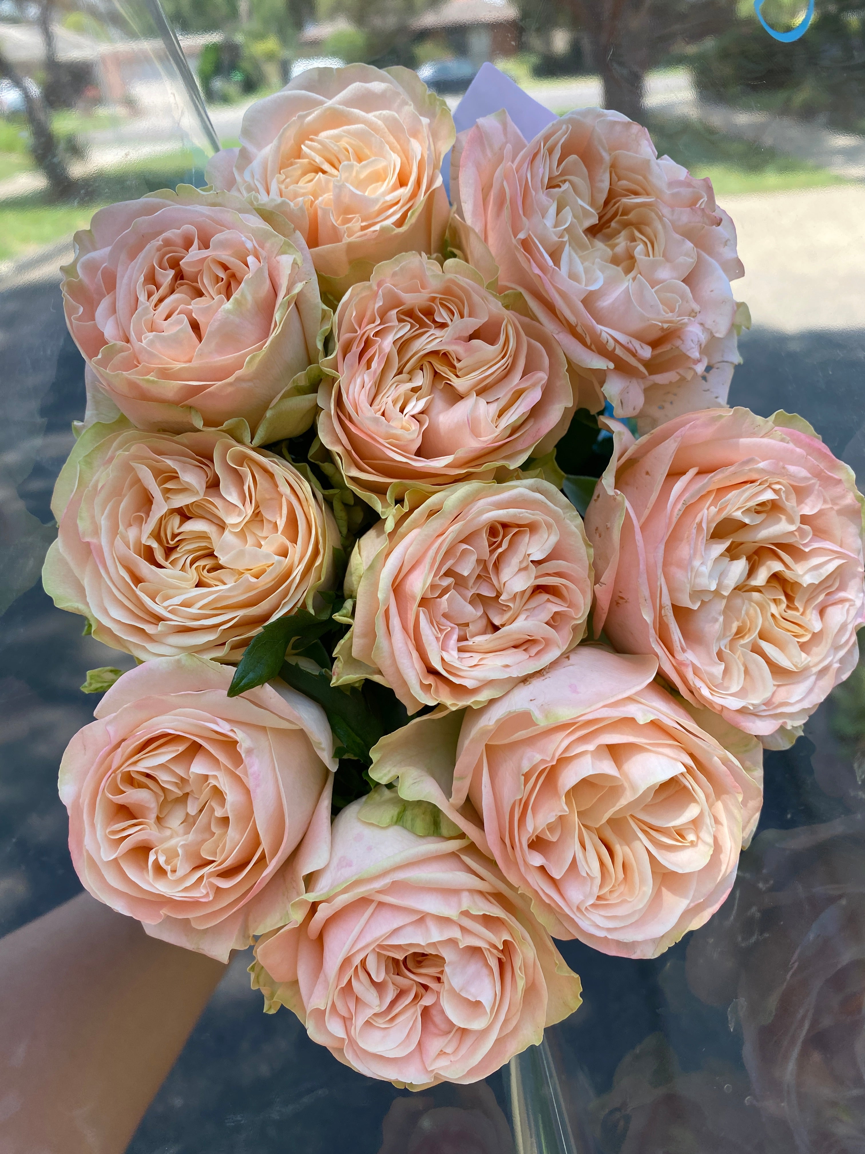 Local Roses - Grandi Country Lane