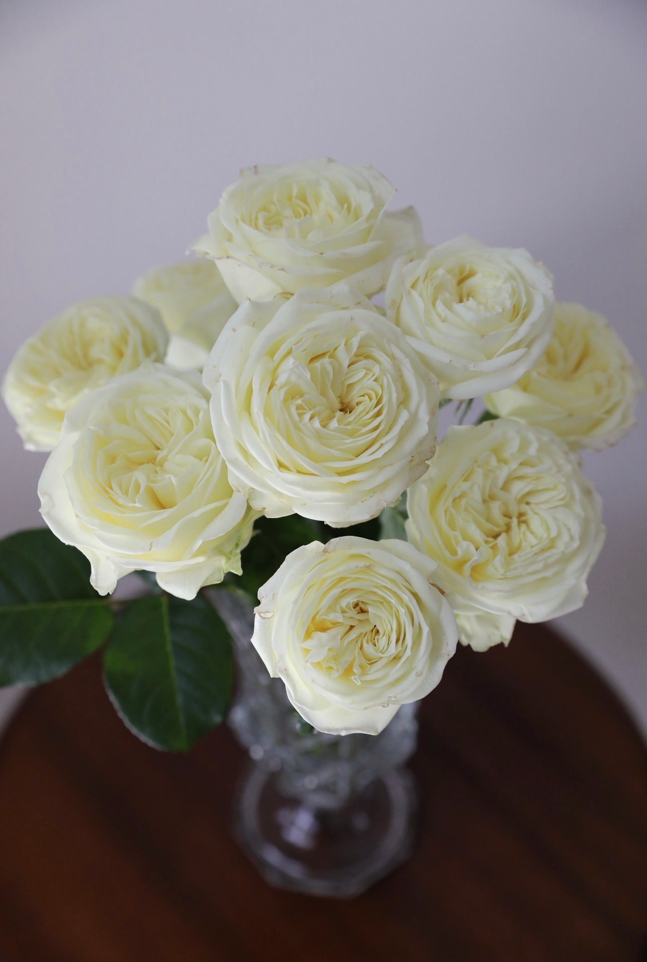 Local Roses - Grandi Marshmallow