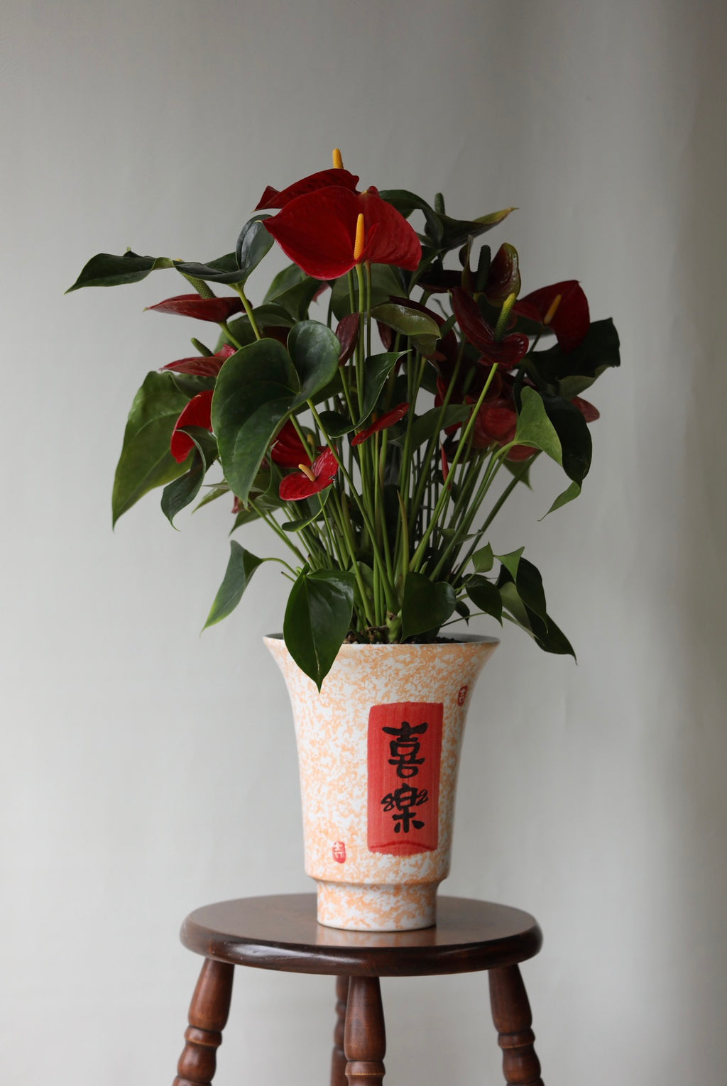 Crimson Joy – Red Anthurium | 70cm × 62 cm
