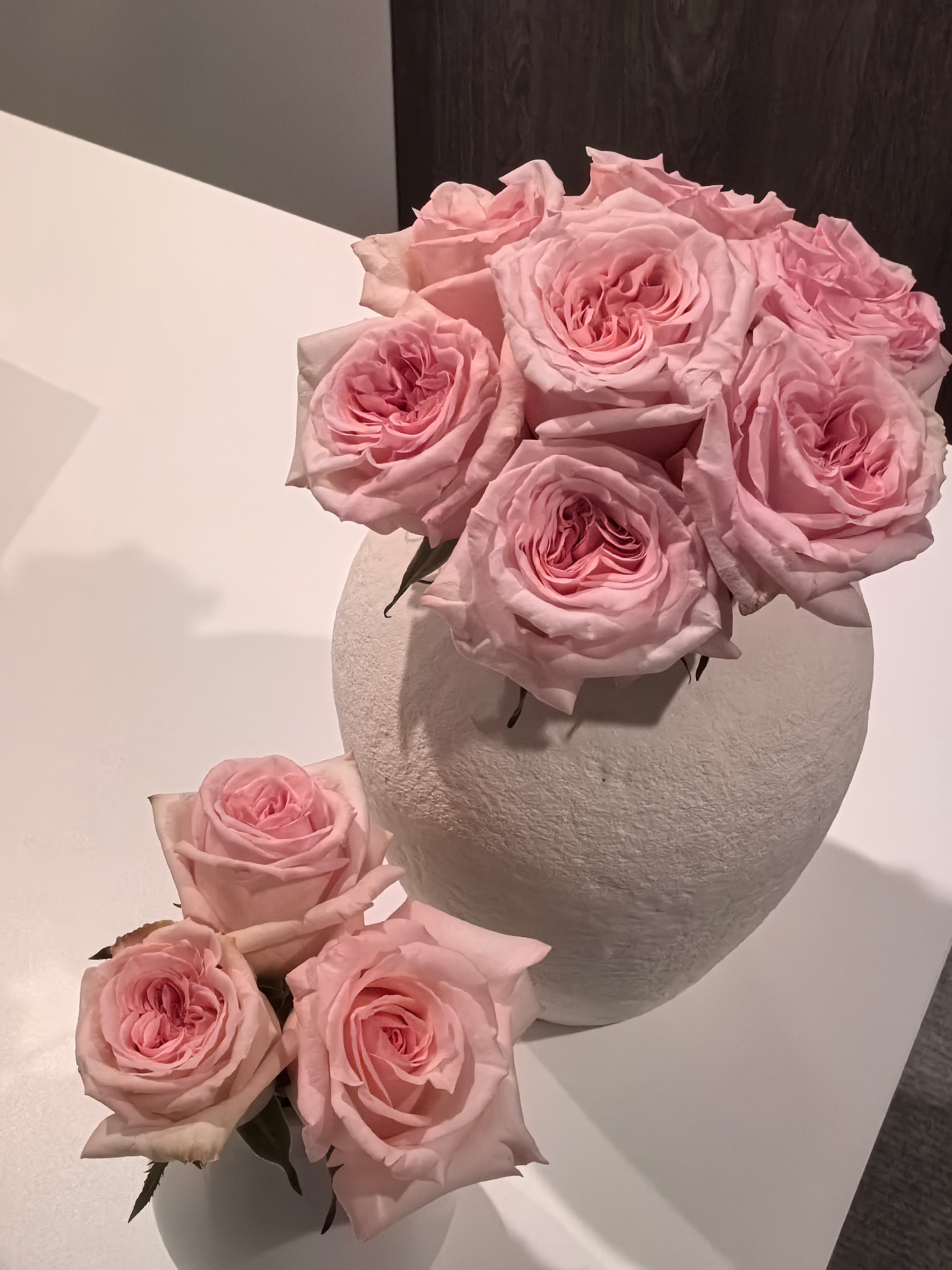 Local Roses - Pink O'Hara