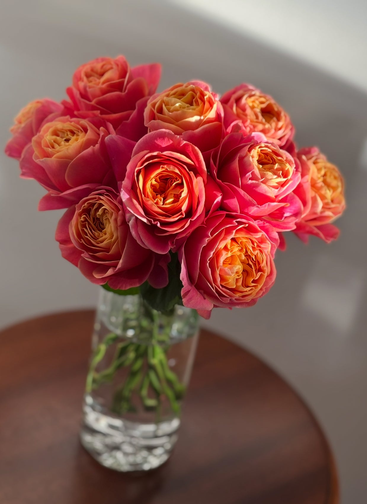 Local Roses - Grandi Cocomo