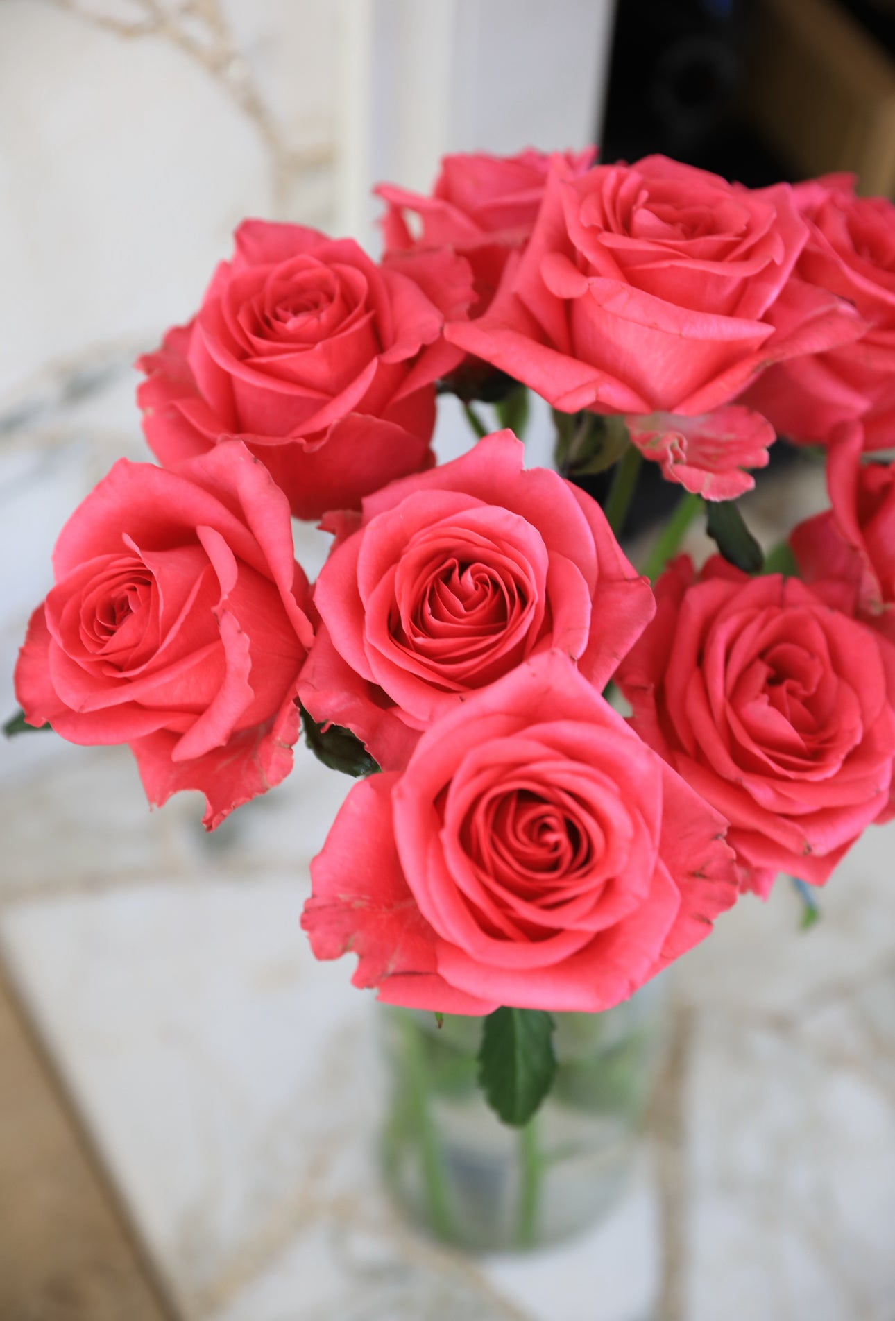 Local Roses - Grandi Lush