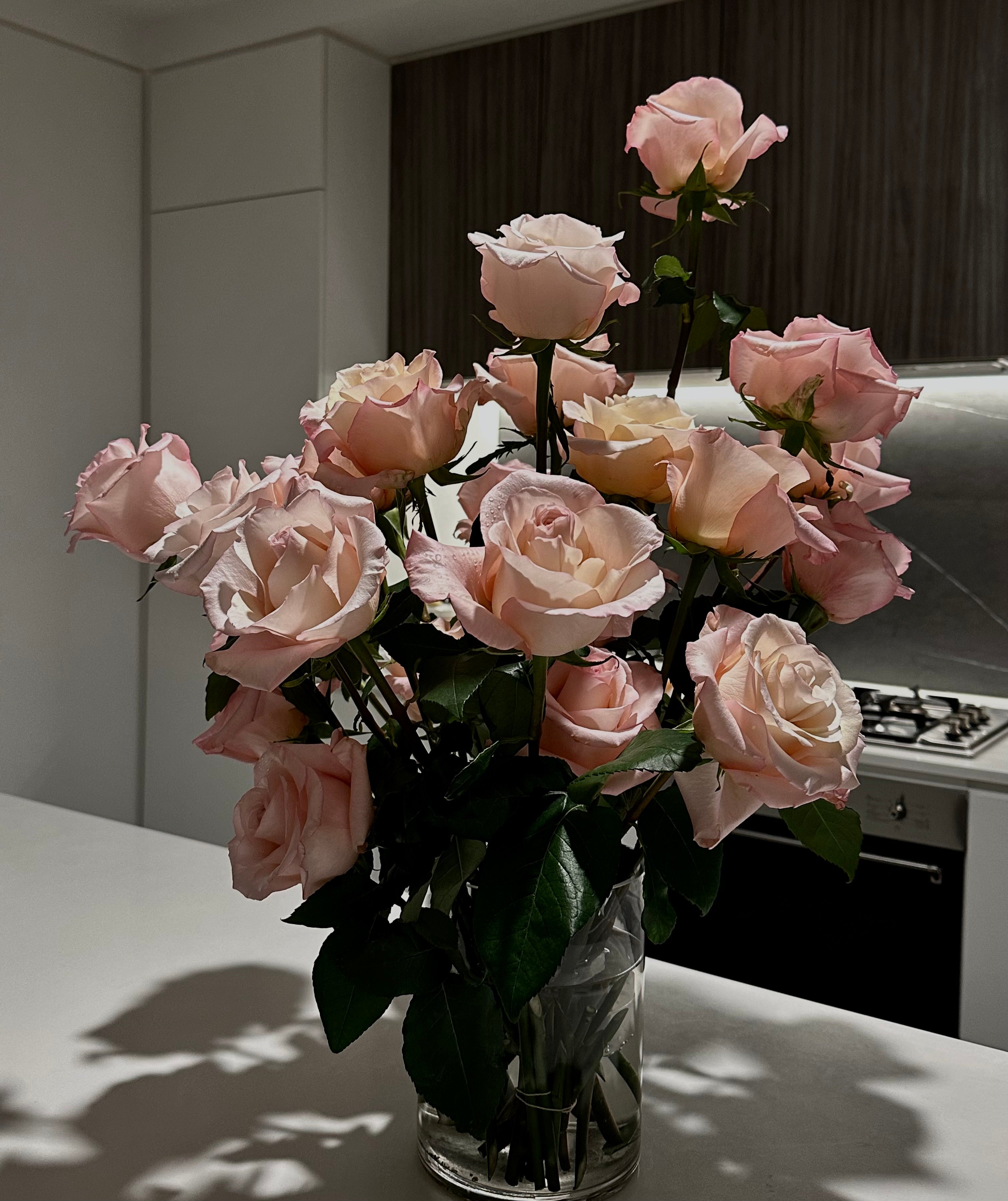 Ecuador Roses - Rhoslyn 25T