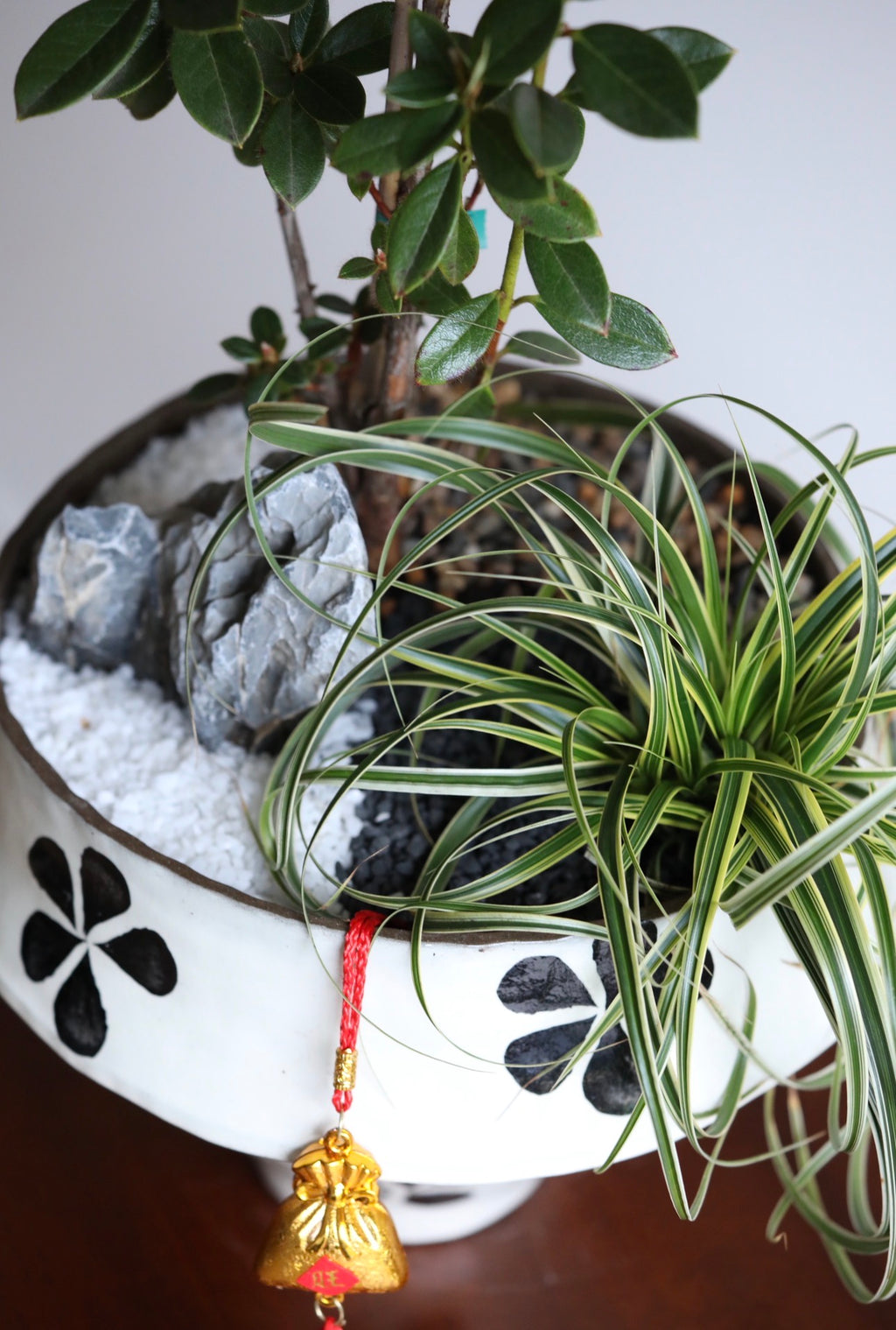 Ruby Grace – Rhododendron Plant Arrangement | 62cm x 28cm