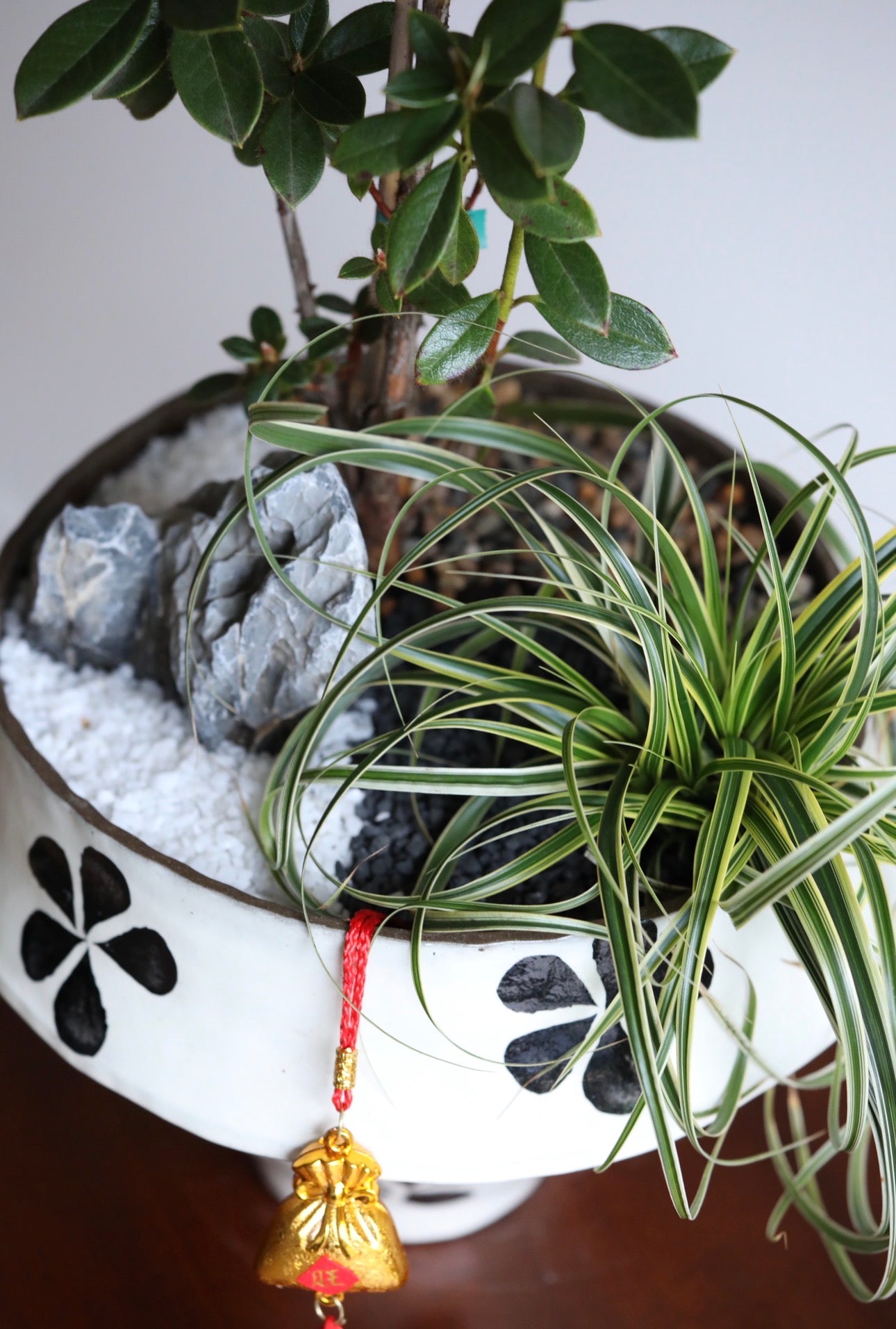 Ruby Grace – Rhododendron Plant Arrangement | 62cm x 28cm