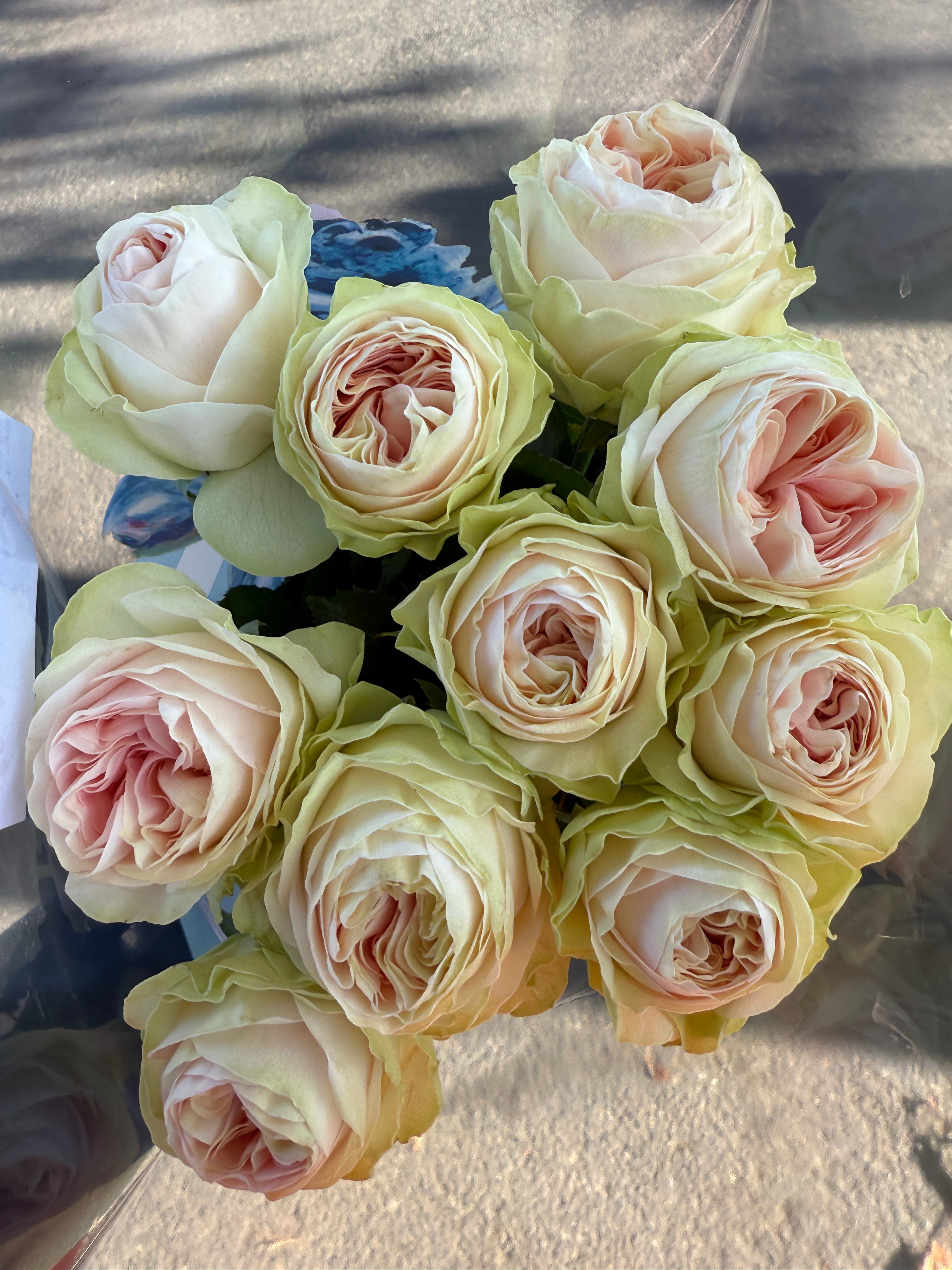 Local Roses - Grandi Dolce Rosa