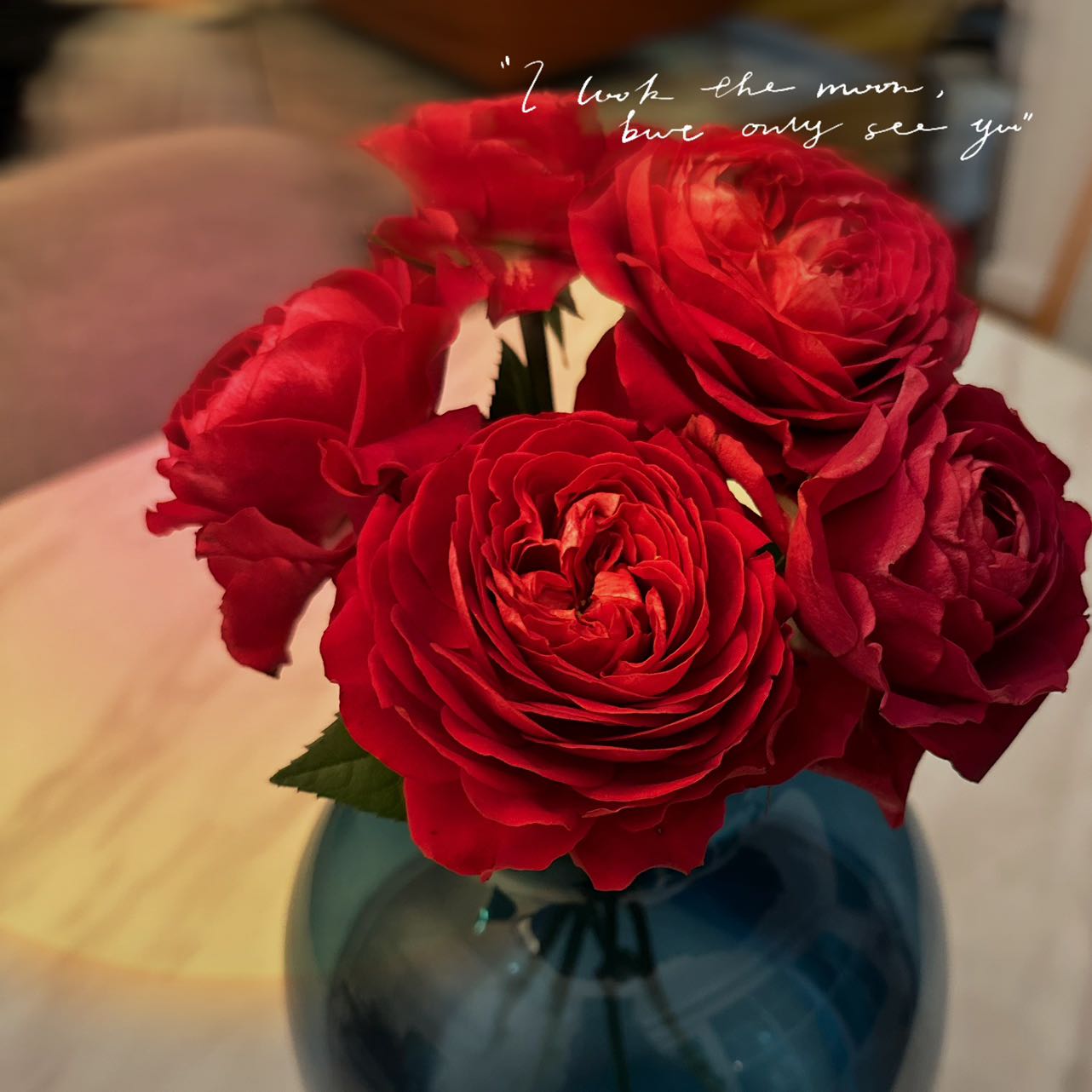 Local Roses - Grandi Draculas Kiss