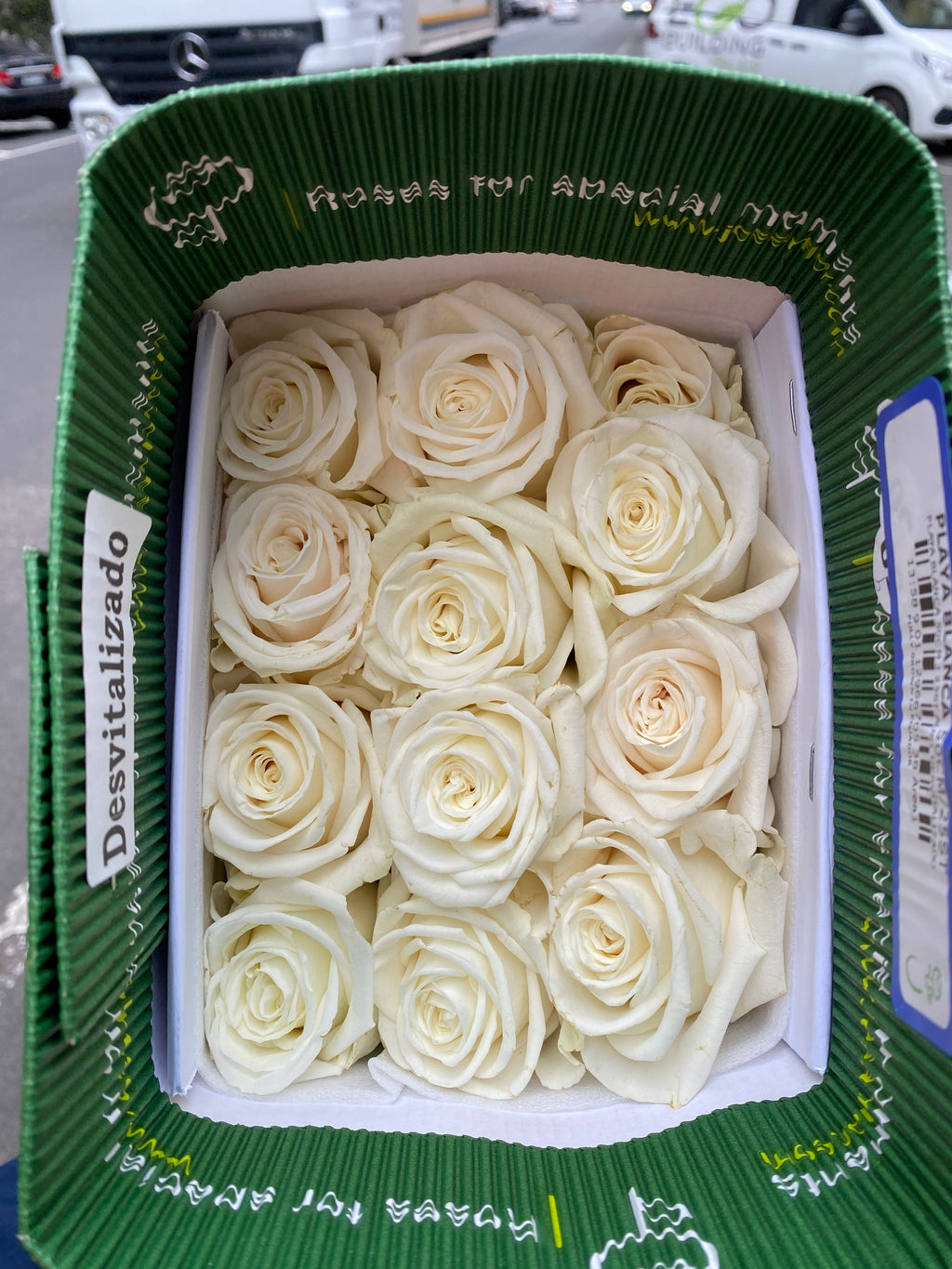 Ecuador Roses - Playa Blanca 25T