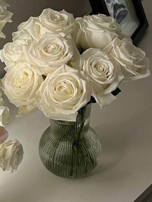 Ecuador Roses - Playa Blanca 25T