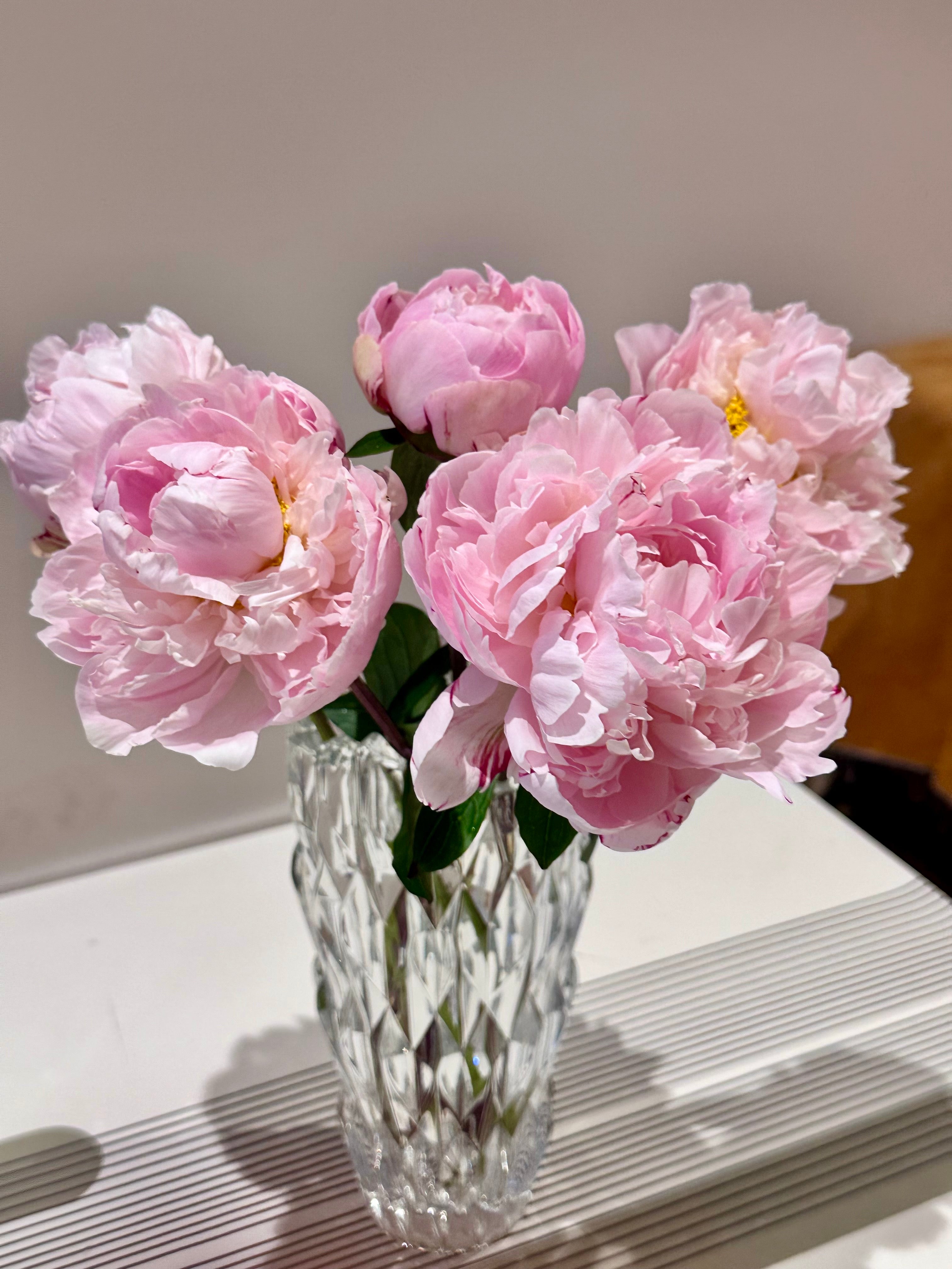 Peony - Pink