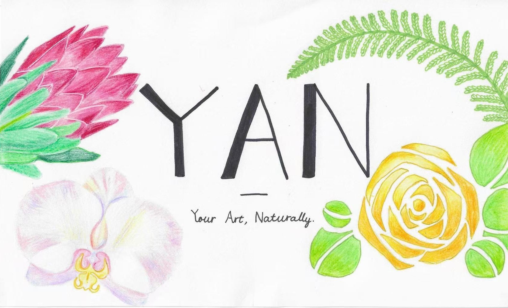 Pink Whisper | 80cm x 32cm – Yanflower
