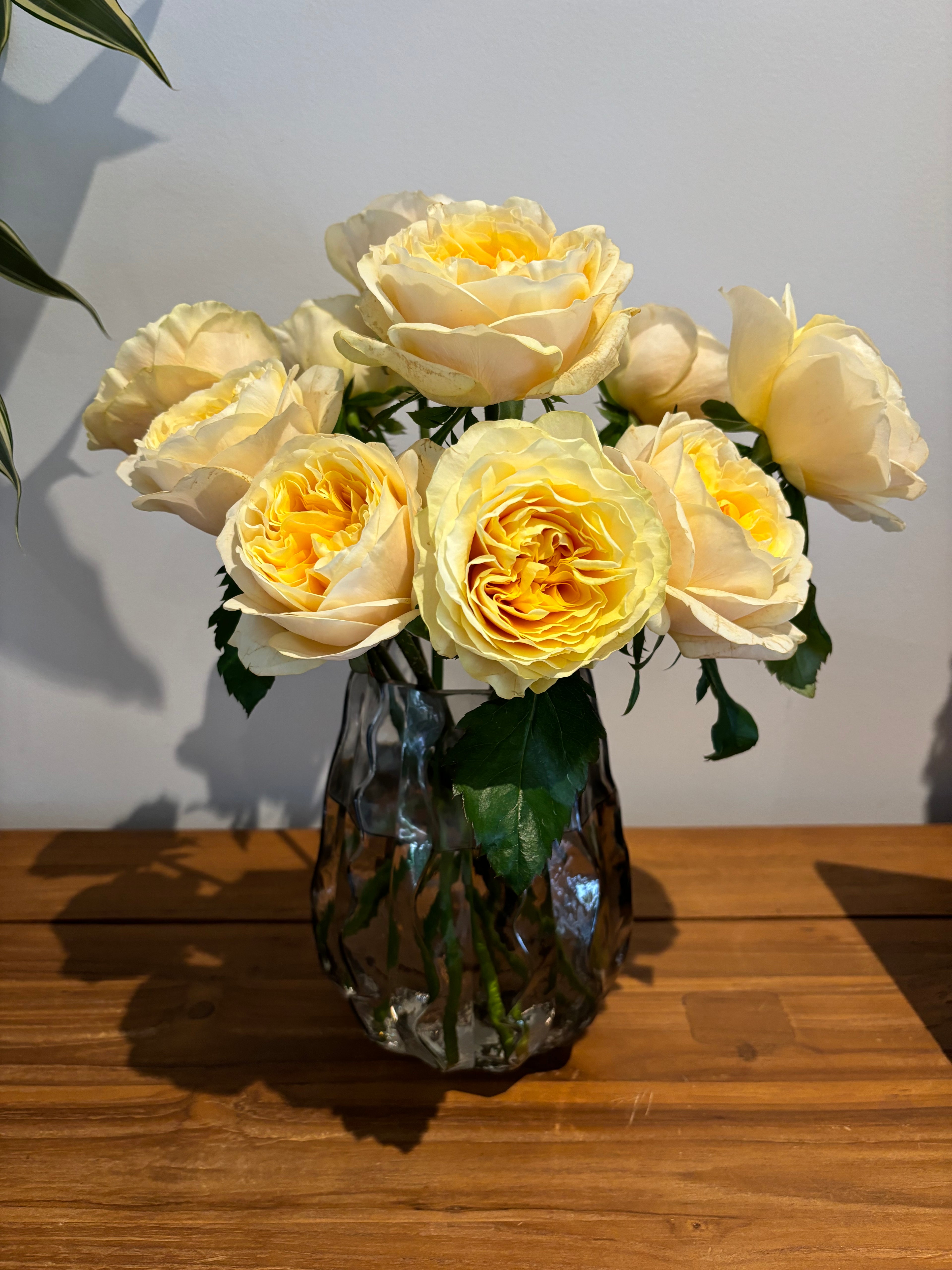 Local Roses - Grandi Golden Amber