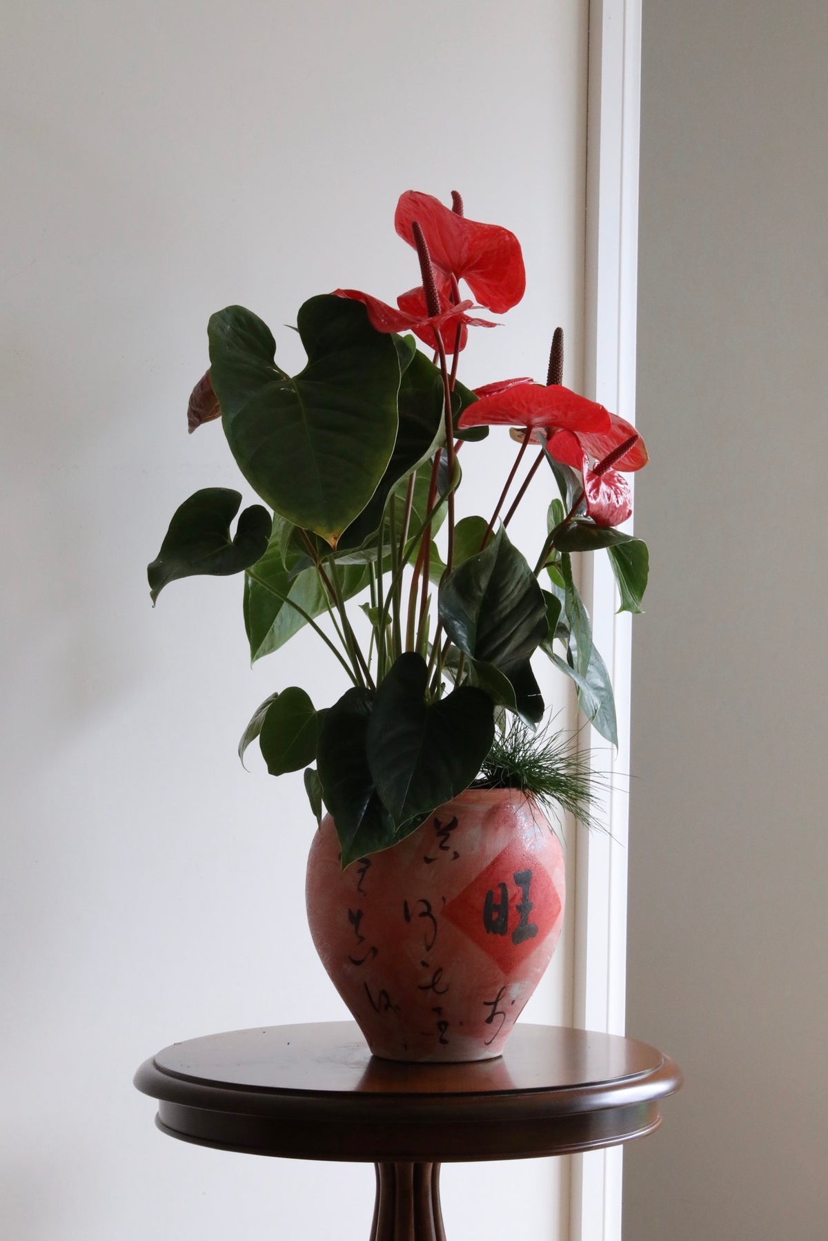 Prosperity in Bloom — Anthurium Arrangement | 76cm x 60cm
