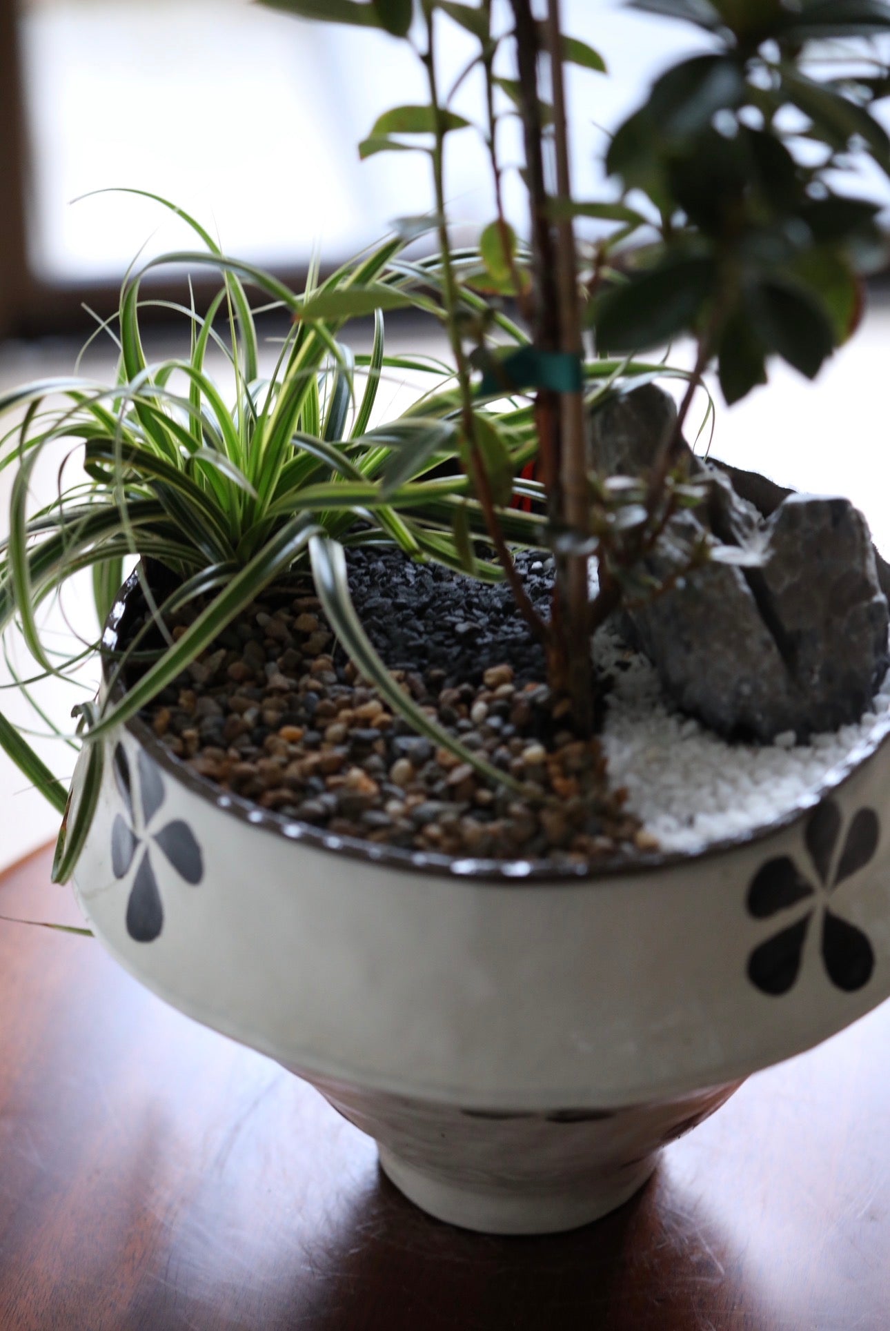 Ruby Grace – Rhododendron Plant Arrangement | 62cm x 28cm