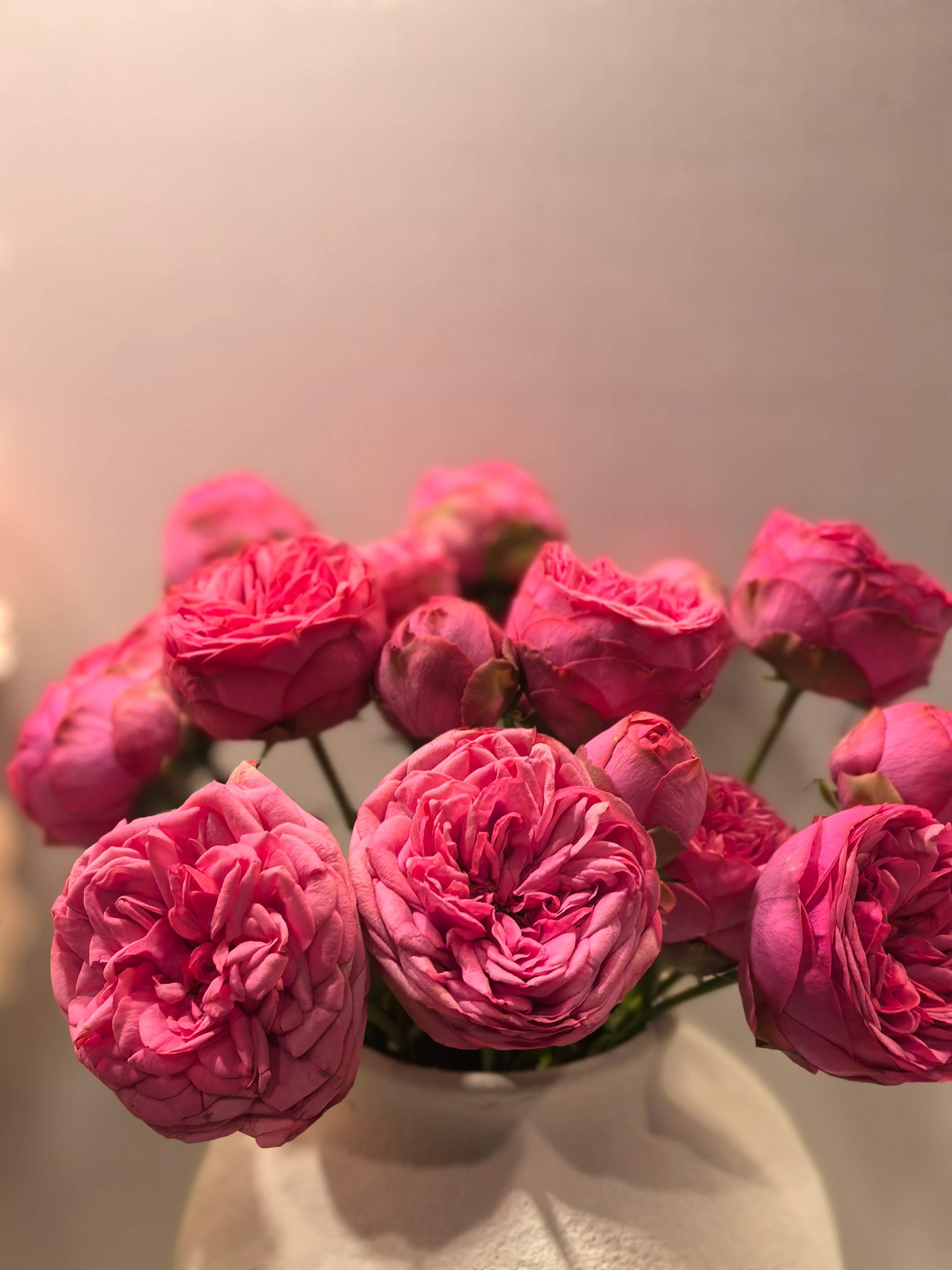 Local Roses - Piano Spray Roses (Pink)