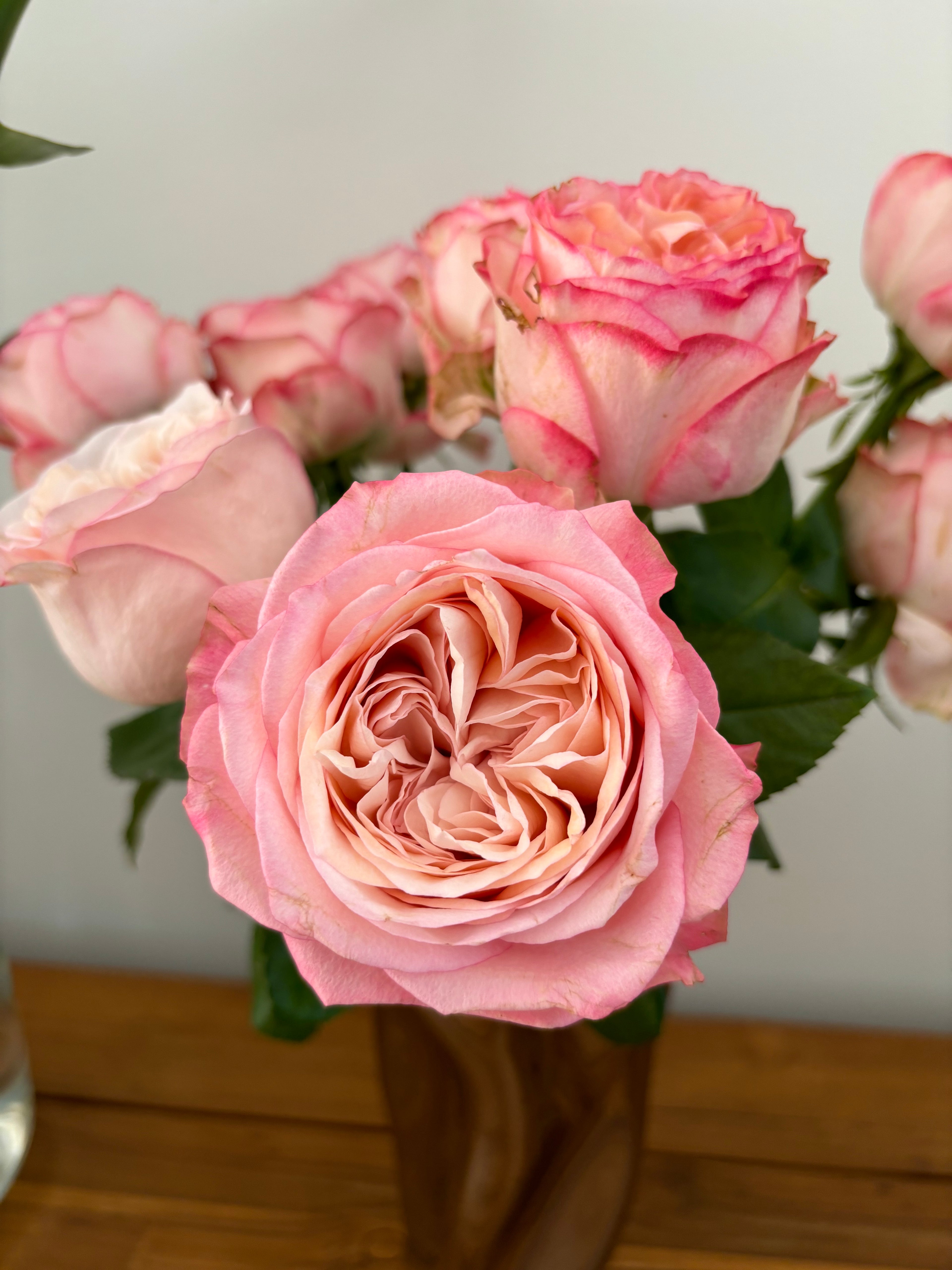 Local Roses - Grandi Pure Bliss