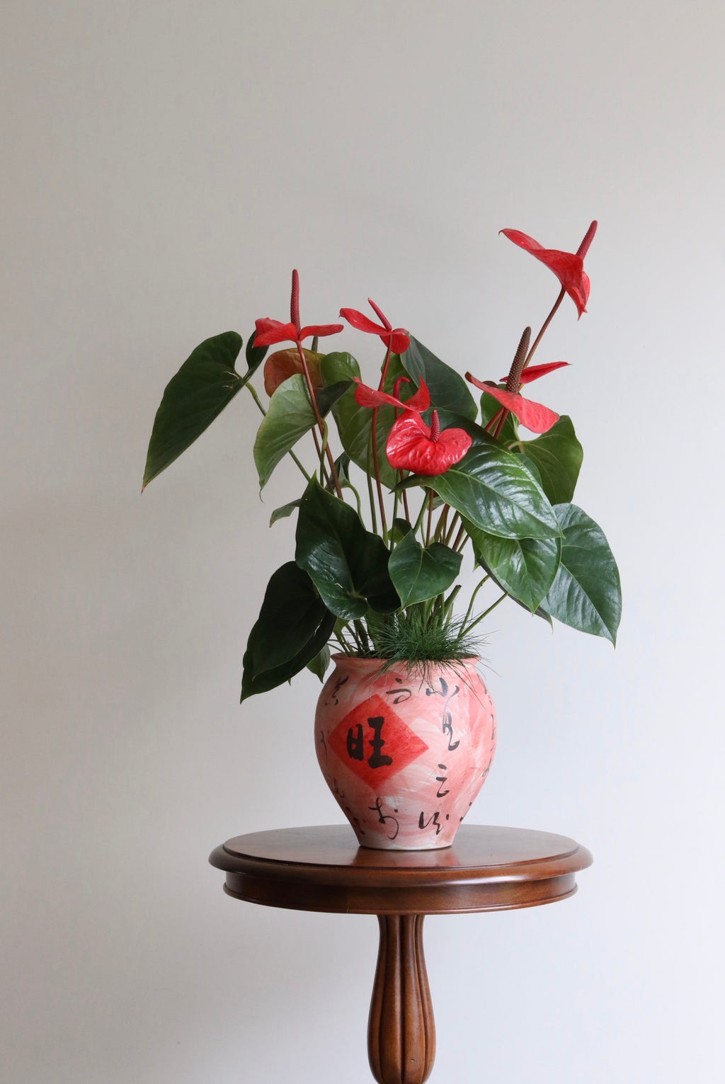 Prosperity in Bloom — Anthurium Arrangement | 76cm x 60cm