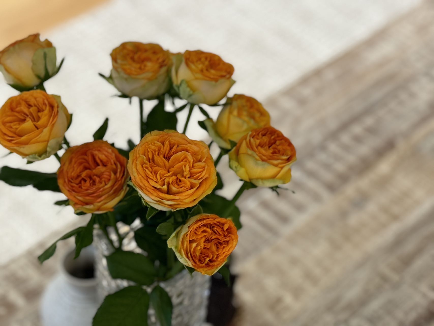 Local Roses - Grandi Endless Summer