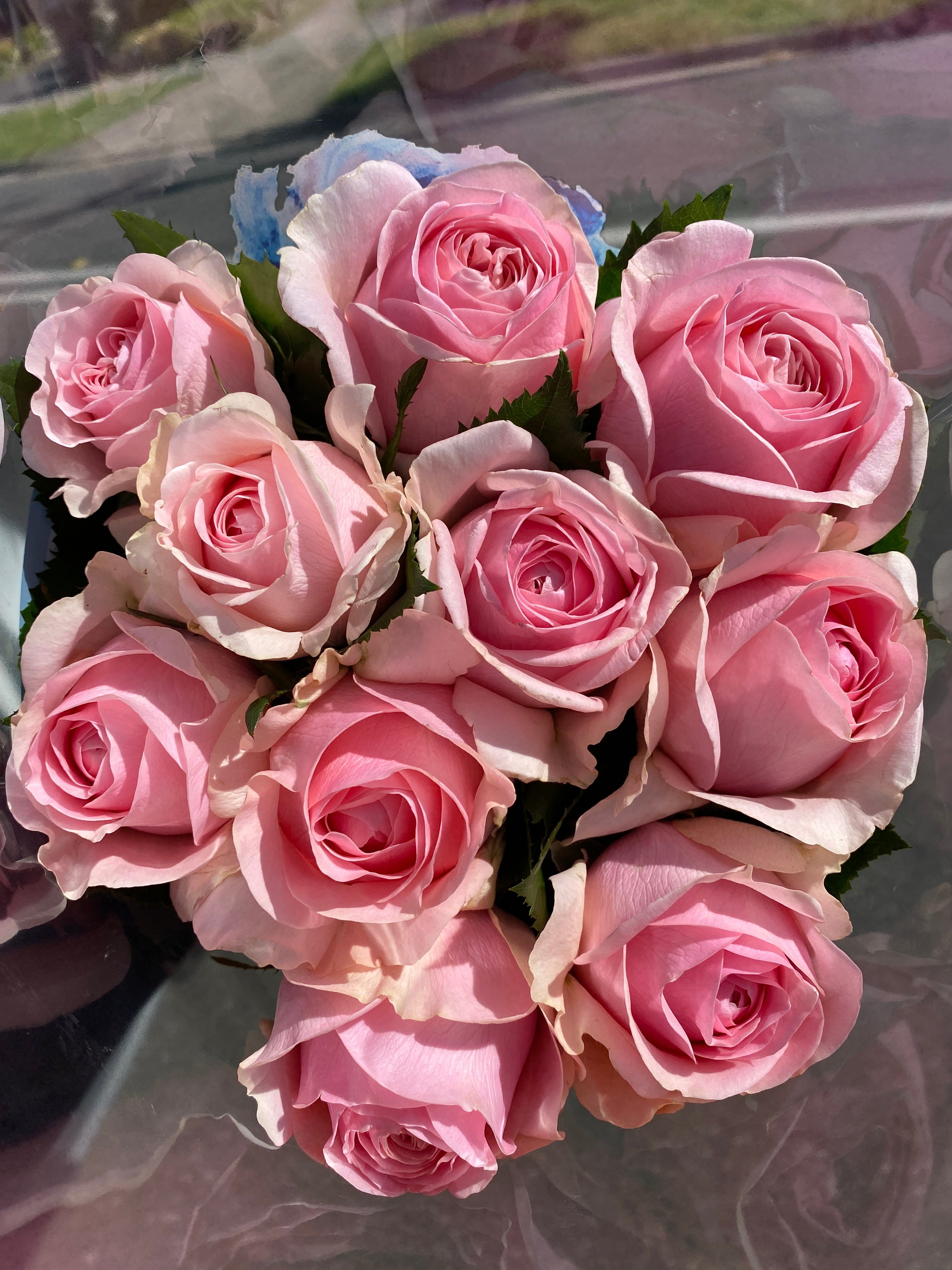 Local Roses - Grandi Tickle Pink