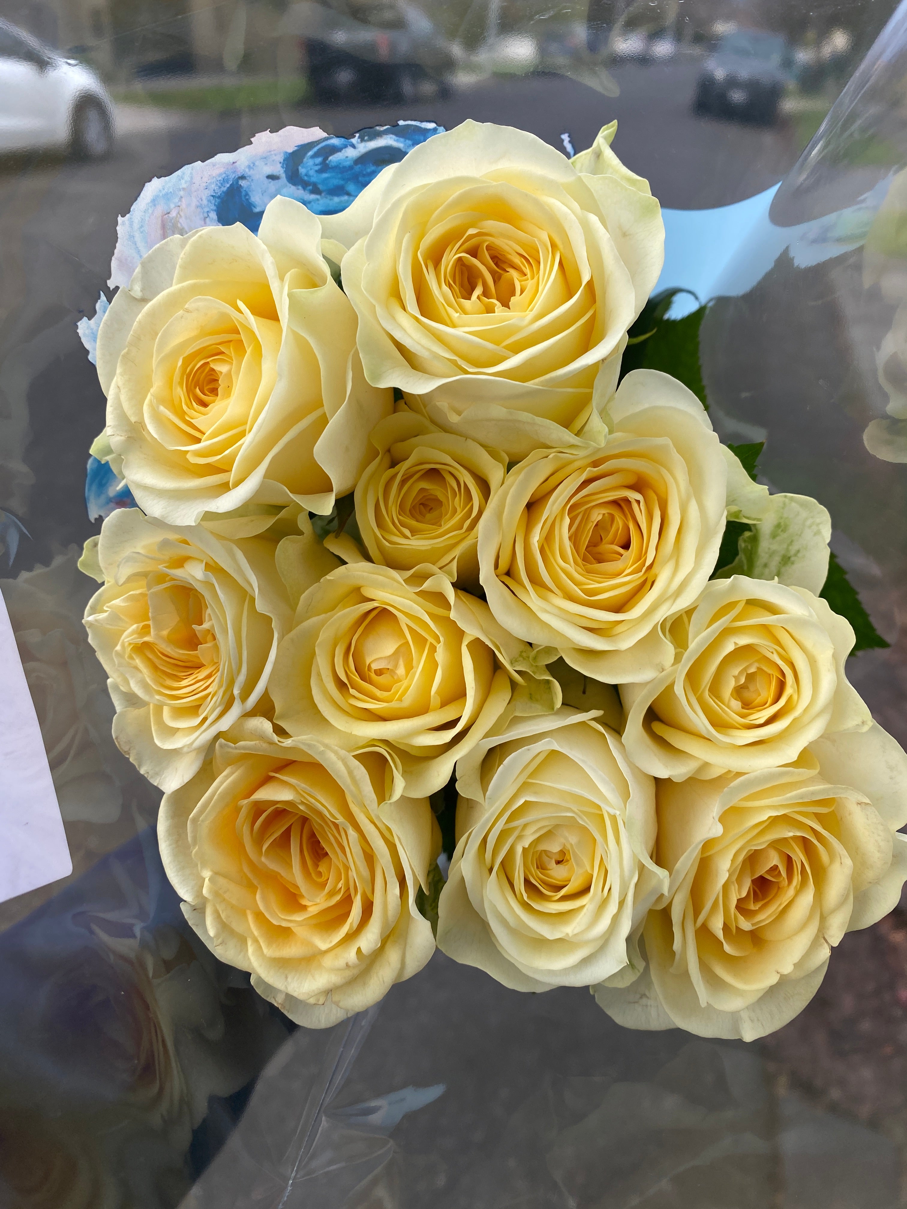 Local Roses - Grandi Buttercup