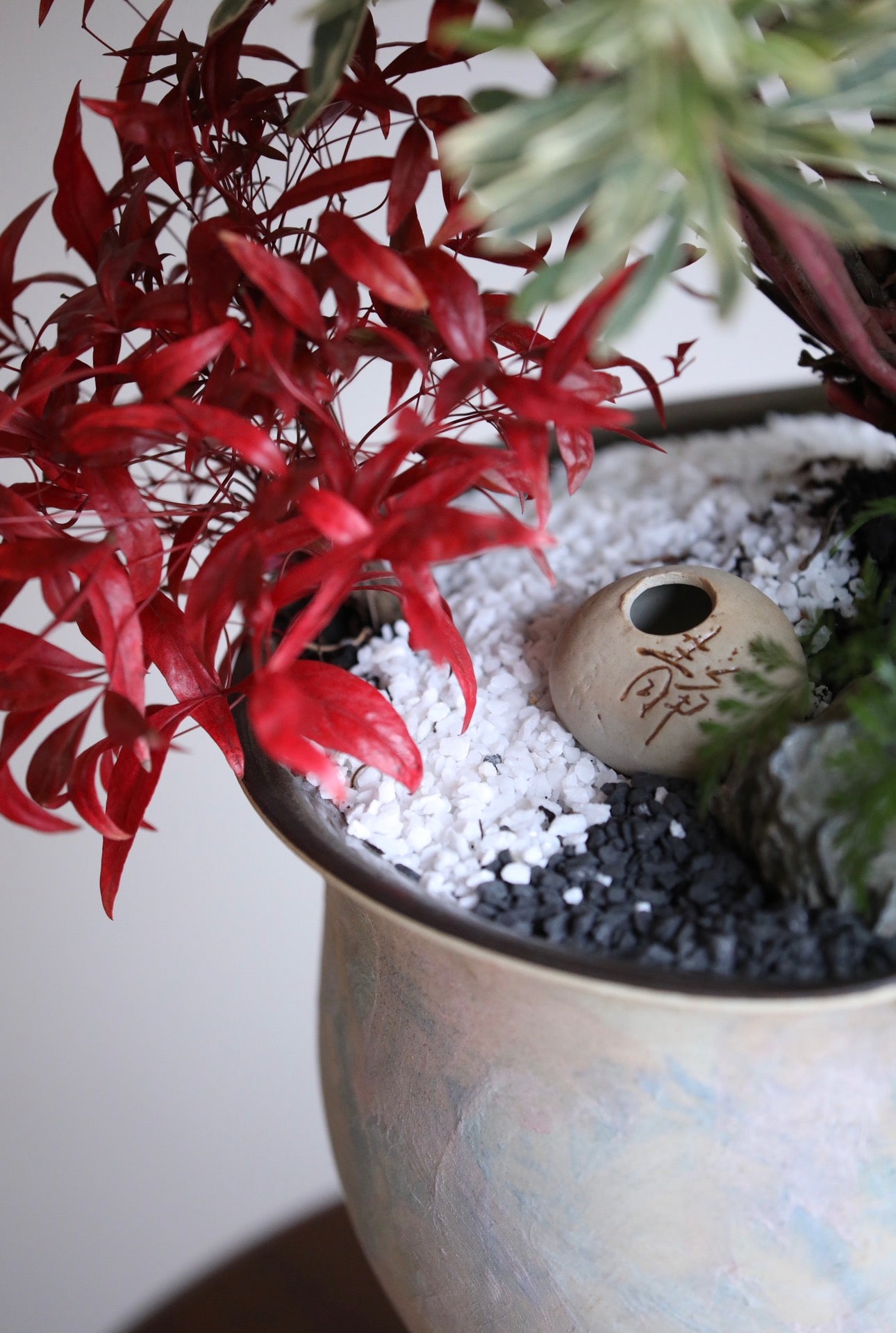 Misty Grove – Silver Swan Plant Arrangement | 72cmx 48cm