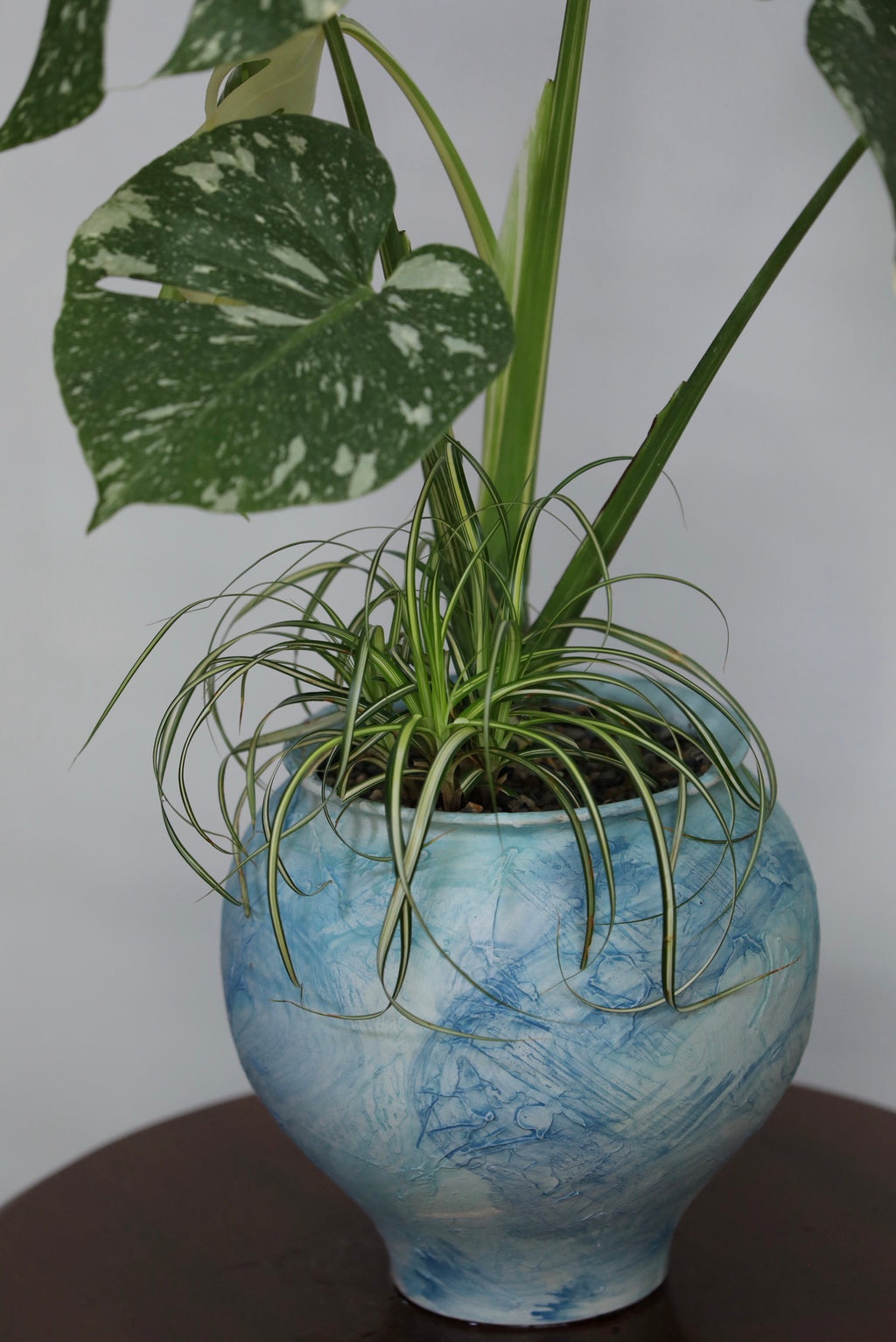 Snowfall – Thai Constellation Monstera | 70cm × 56cm