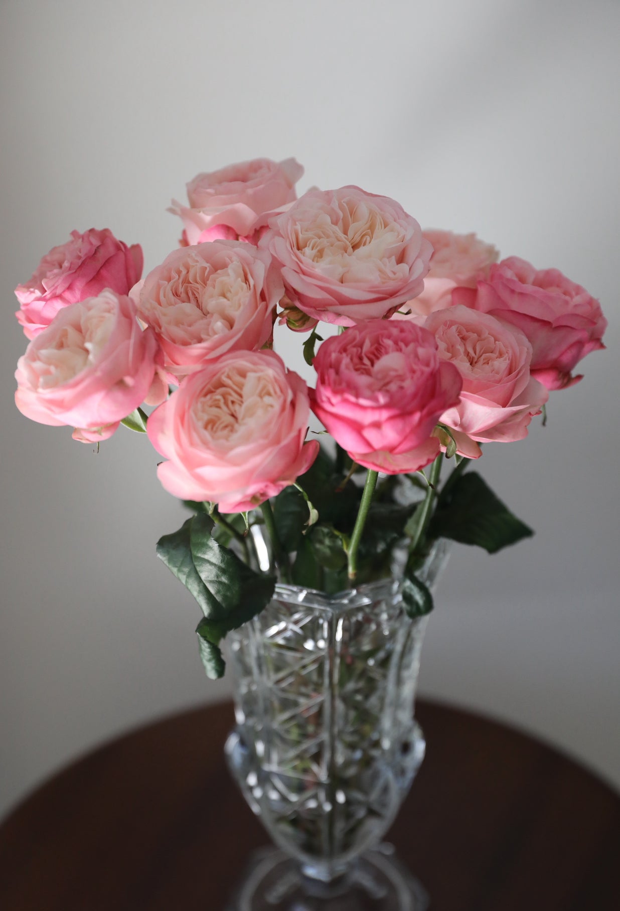 Local Roses - Grandi Emmalee