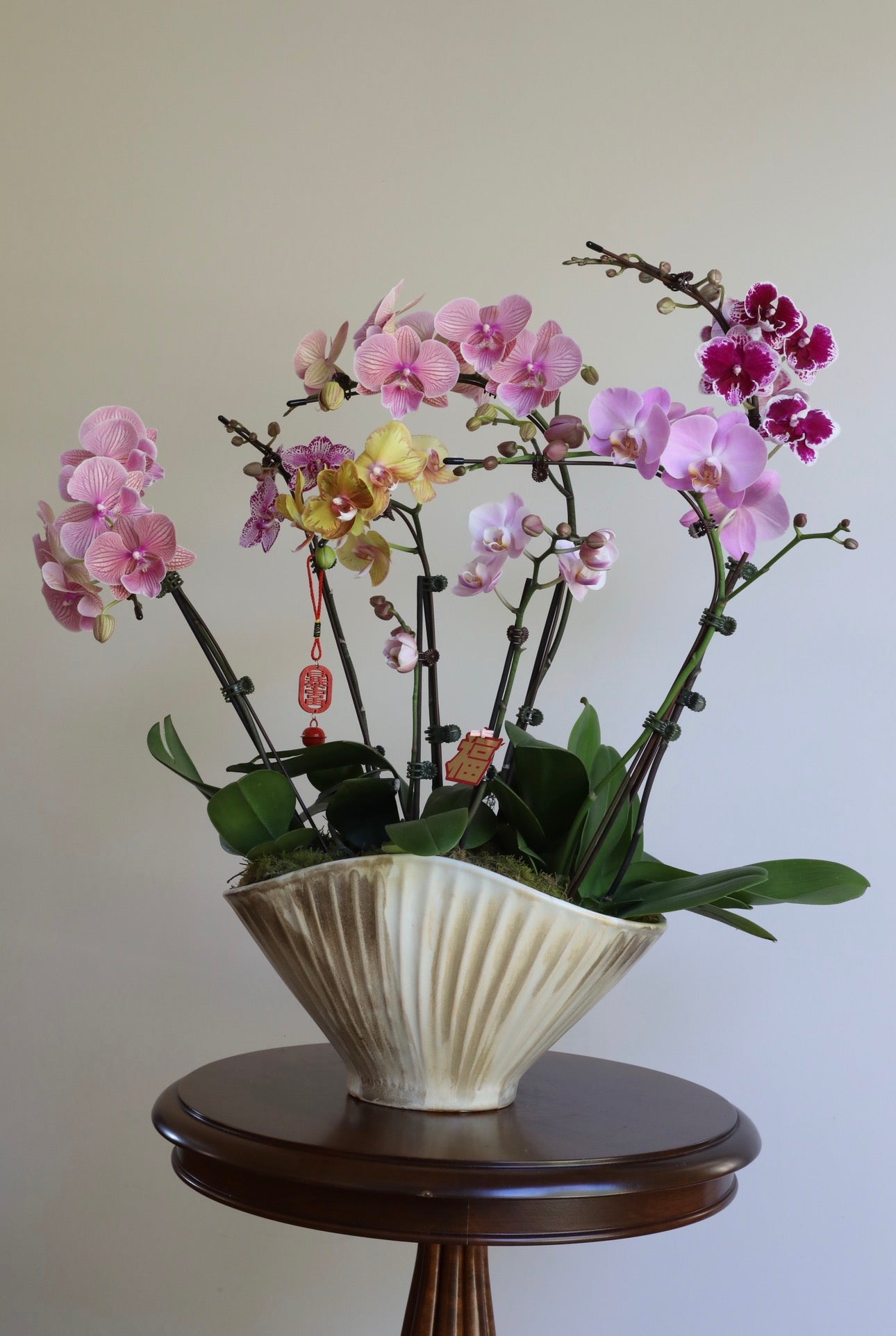 Phalaenopsis Orchid Arrangement - 8T