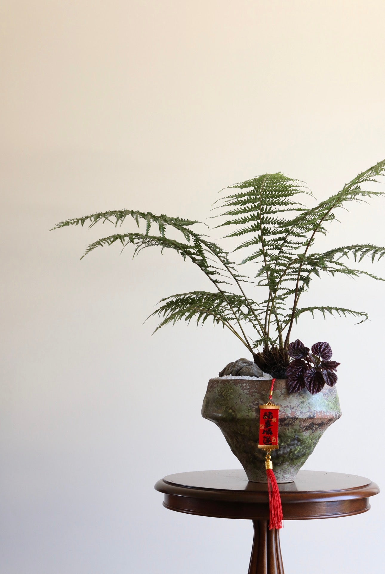 Forest Zen – Tree Fern & Peperomia Planter | 66cm × 80cm