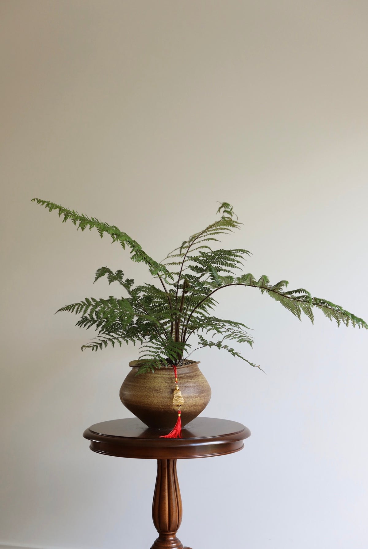 Forest Whisper — Dicksonia Squarrosa Fern Planter | 62cm x 96cm