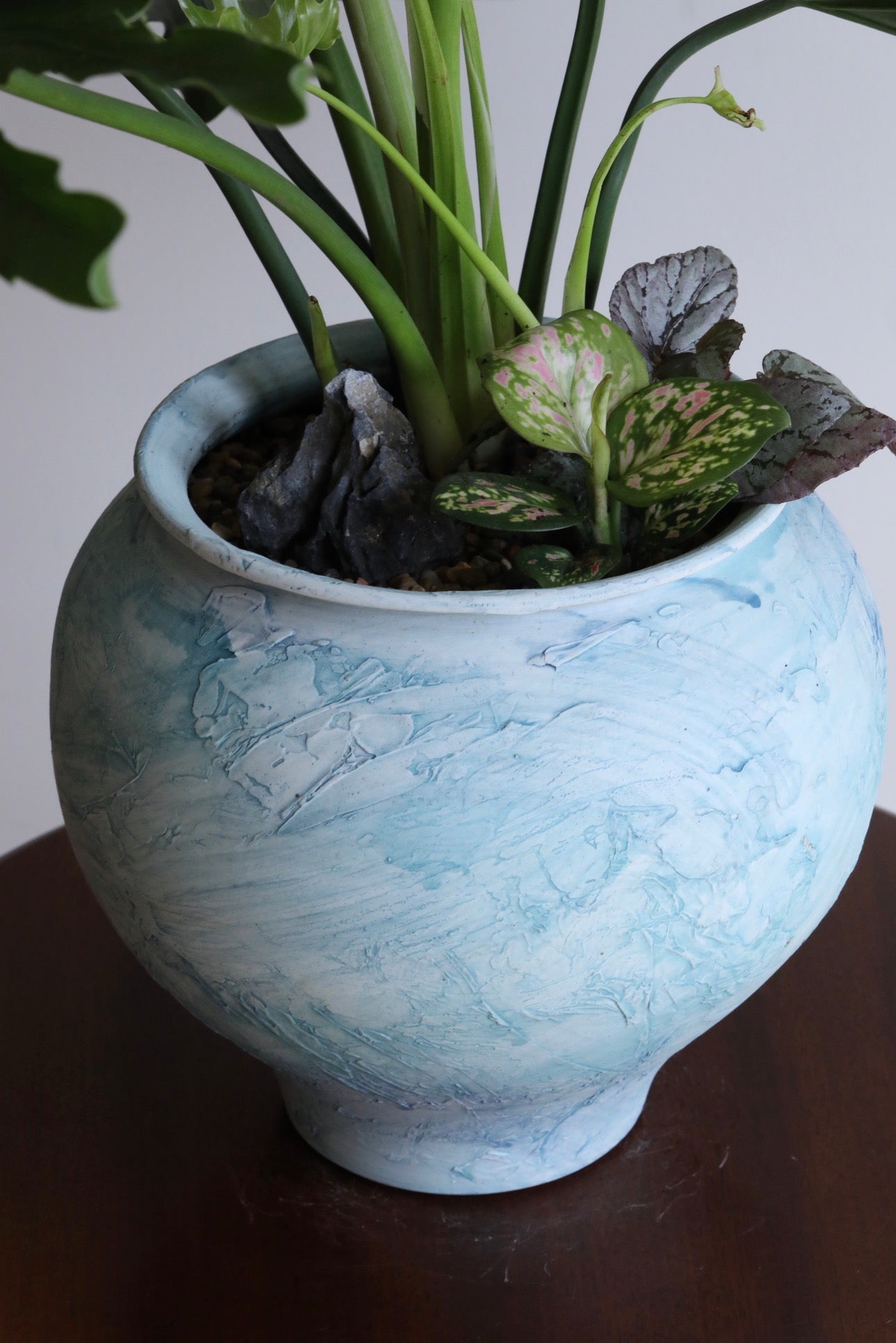Blue Gum — Philodendron Selloum Planter  |  78cm x 78cm