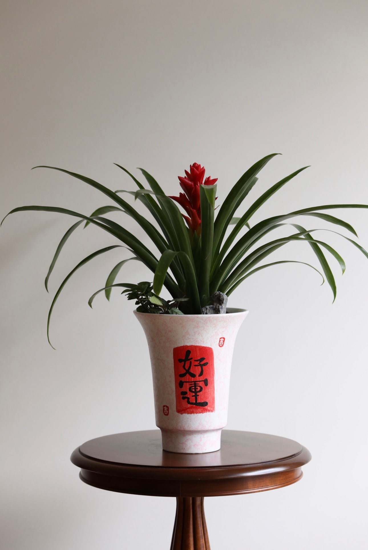 Fortune Bloom – Red Bromeliad Planter | 56cm × 68cm