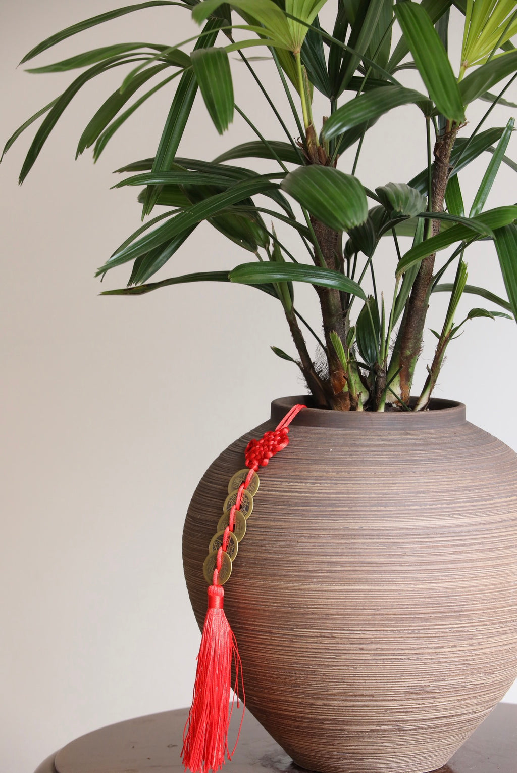 Eastern Grove — Lady Palm Planter | 66cm x 56cm