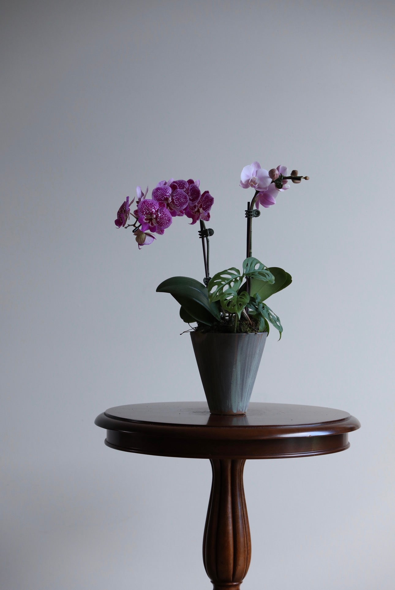 Orchid Whisper  | 42cm × 35cm