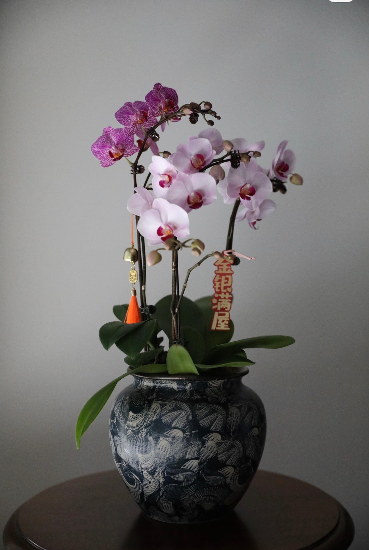 Phalaenopsis Orchid Arrangement - 3T