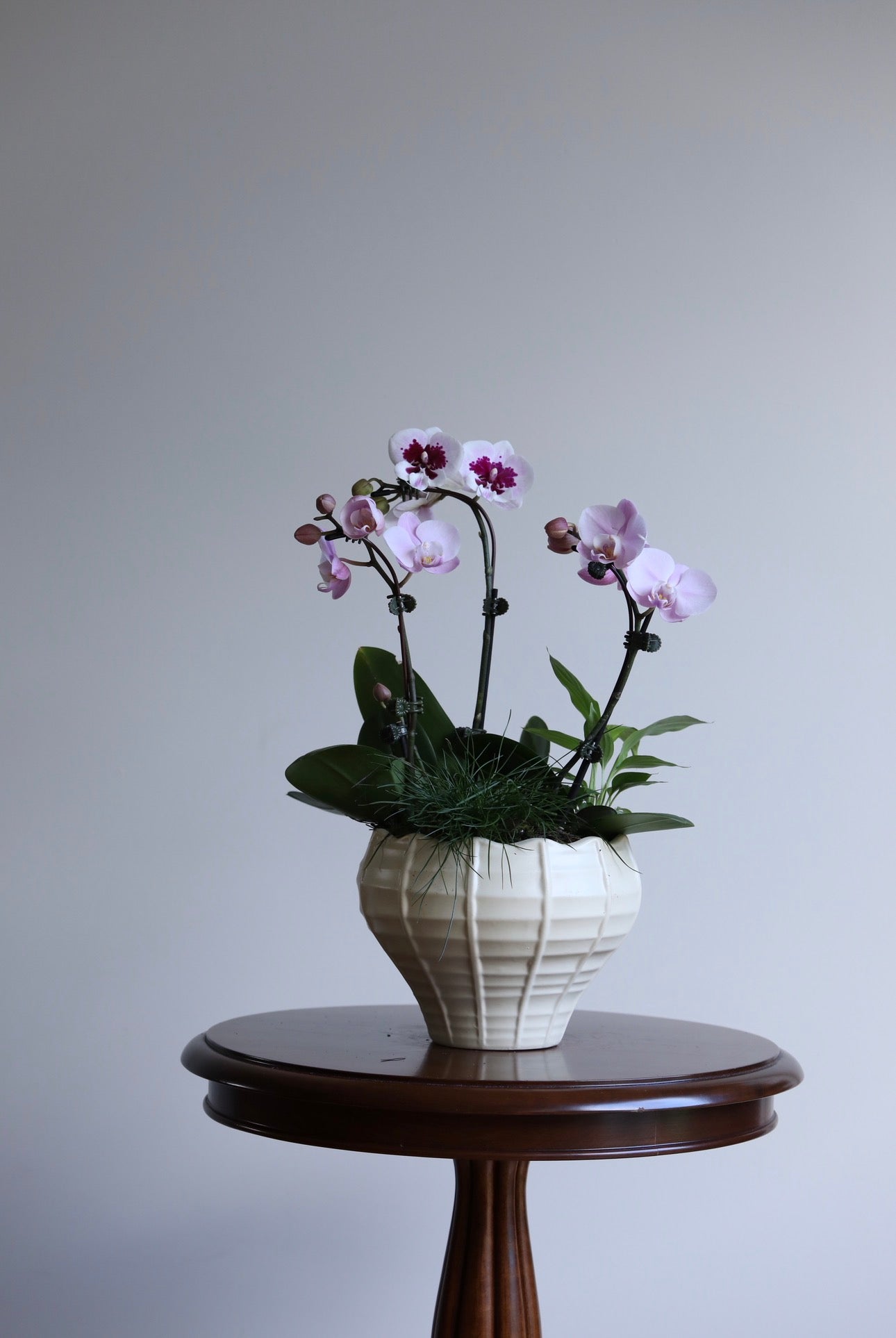 Blush Harmony  | 46cm x 30cm
