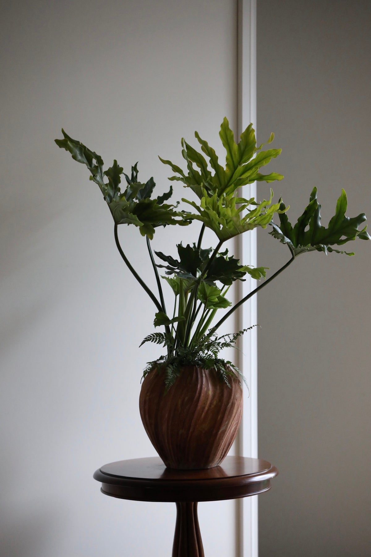 Evergreen Grace — Philodendron Hope & Fern Planter | 86cm x 80cm