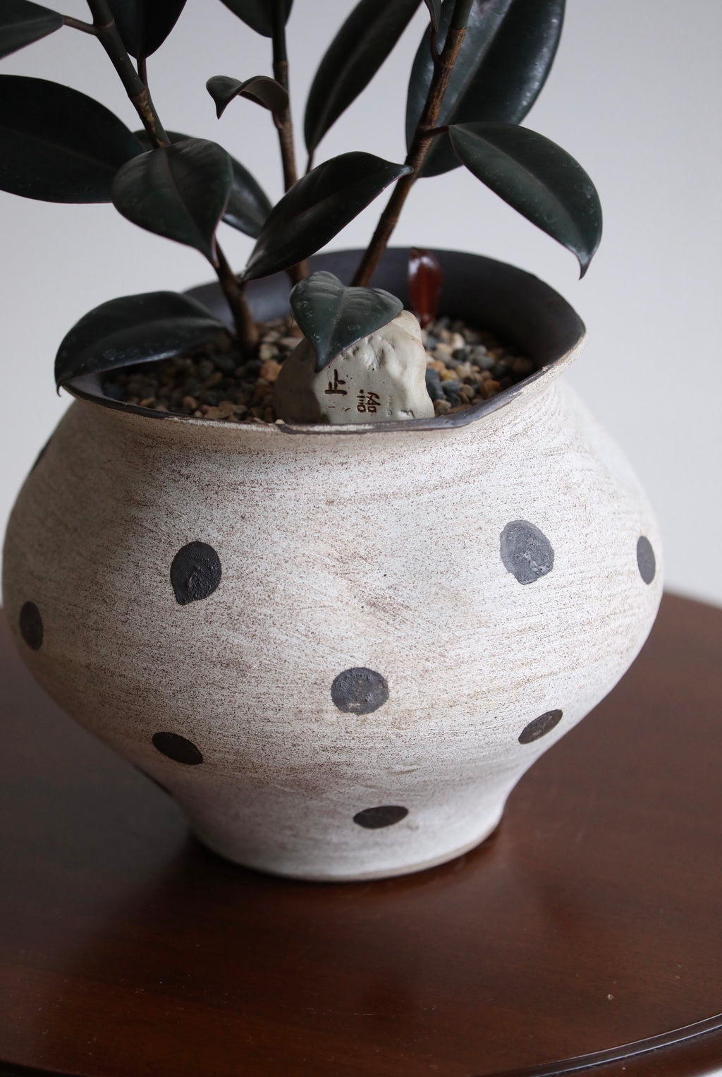 Ink & Earth – Ficus Elastica Burgundy Arrangement | 42cm x 42cm
