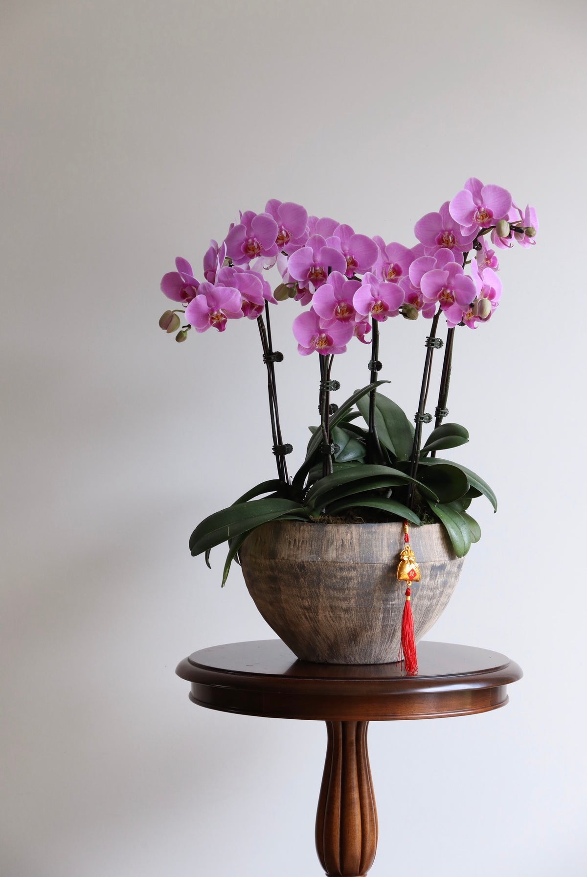 Blush Spring | 62cm × 52cm