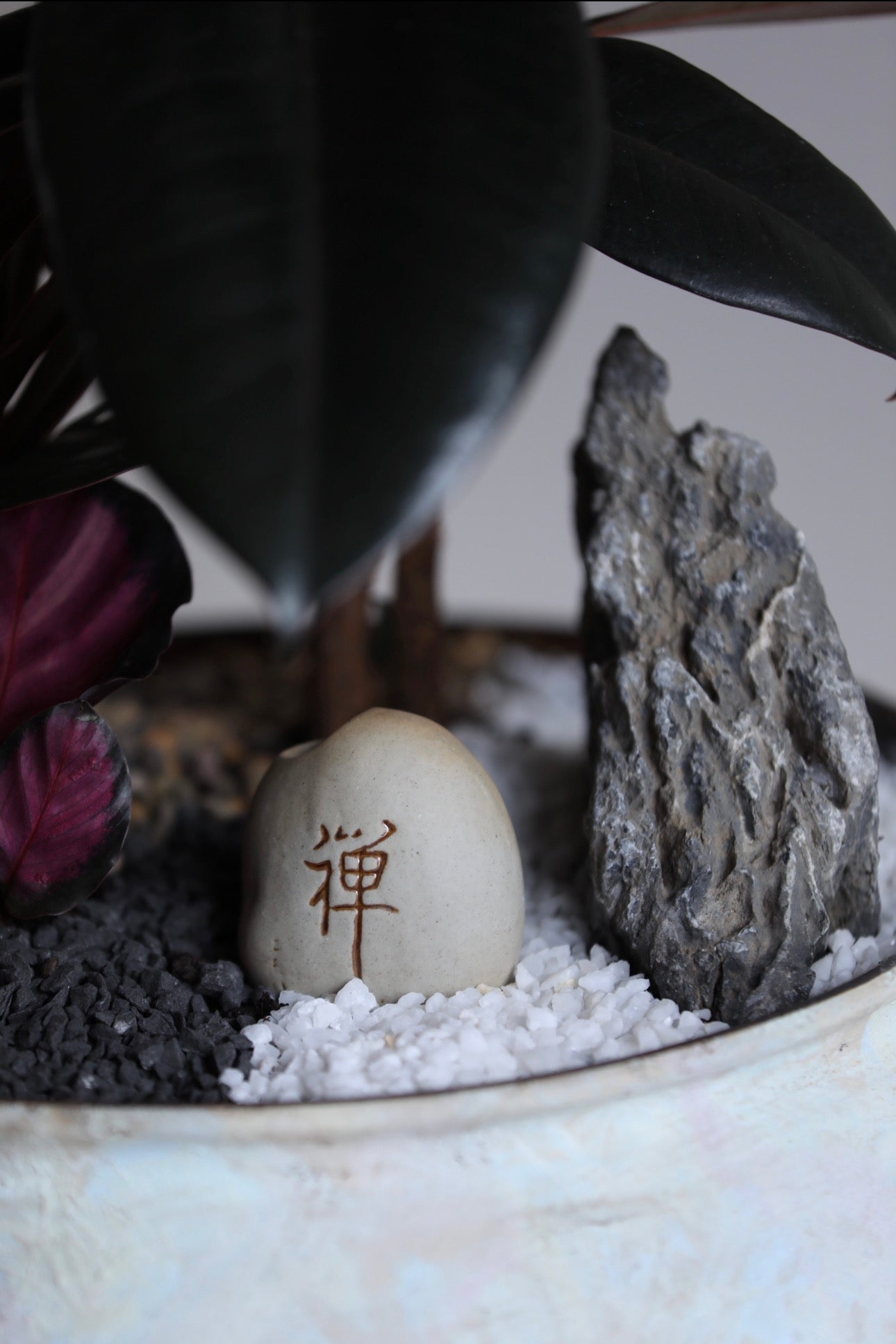 Midnight Zen – Burgundy Rubber Plant Arrangement | 66cm × 36cm