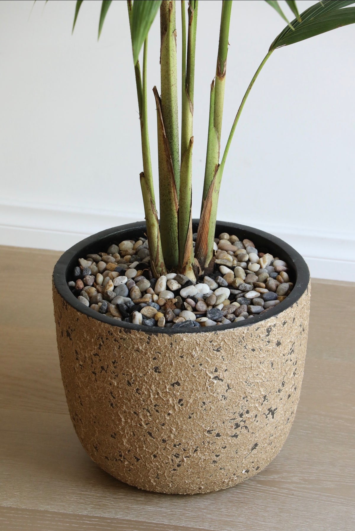 Tropical Serenity — Bangalow Palm Planter | 150cm x 108cm
