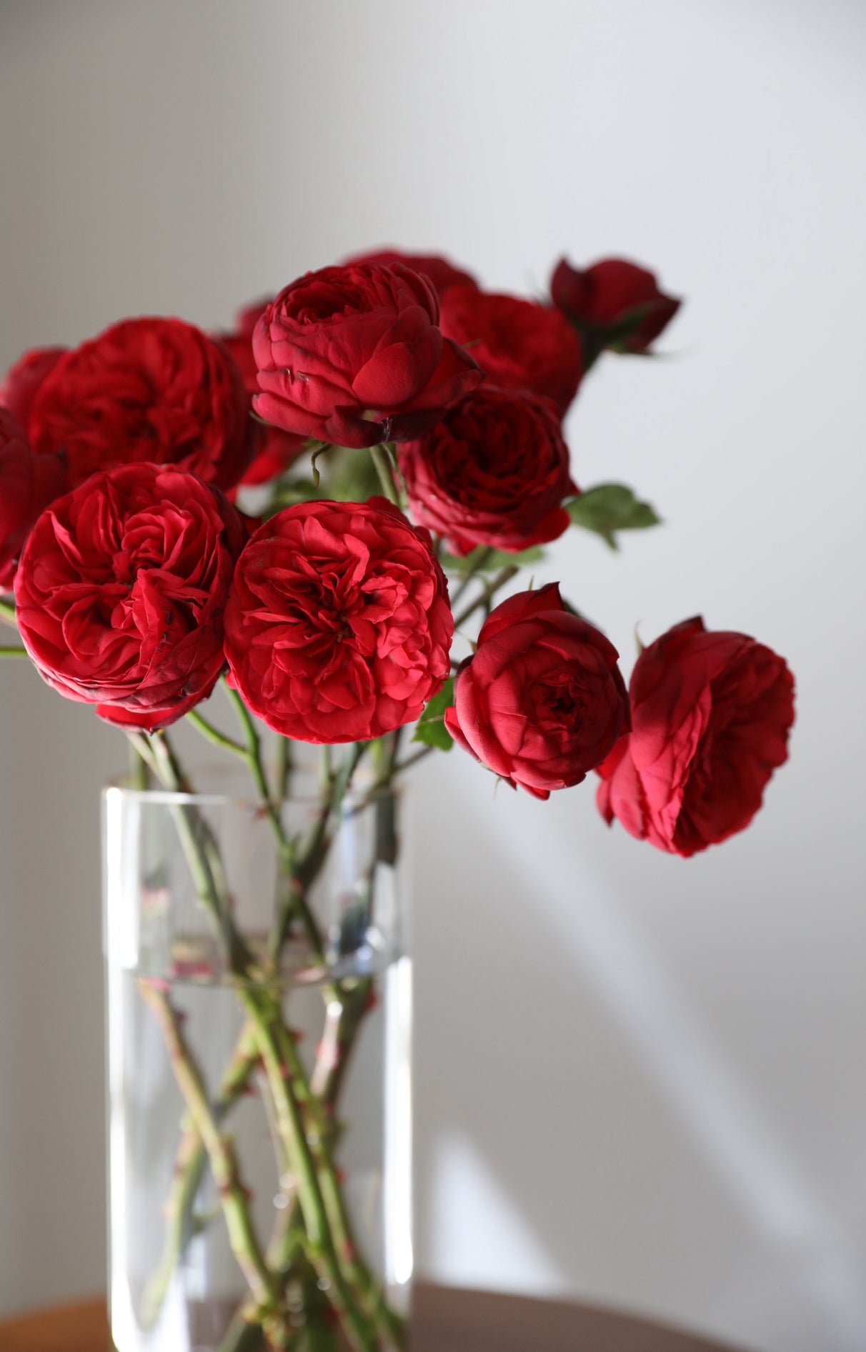 Local Roses - Piano Spray Roses (Red)