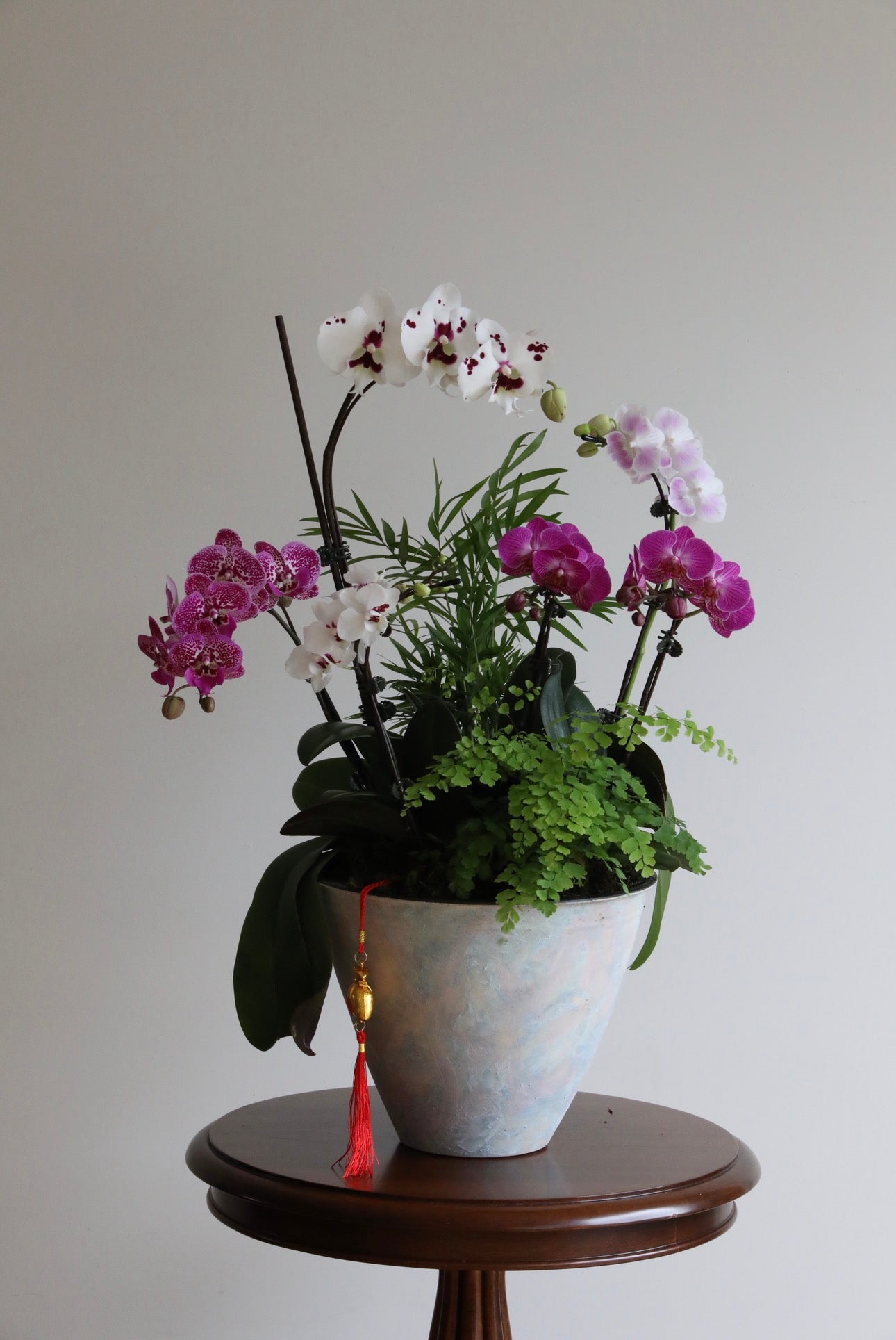Orchid Oasis | 70cm x 50cm