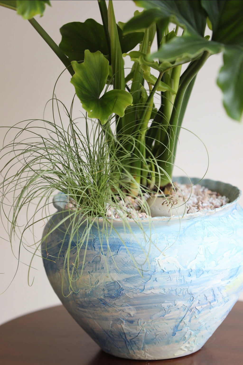 Emerald Waves — Philodendron Hope Planter | 68cm x 72cm